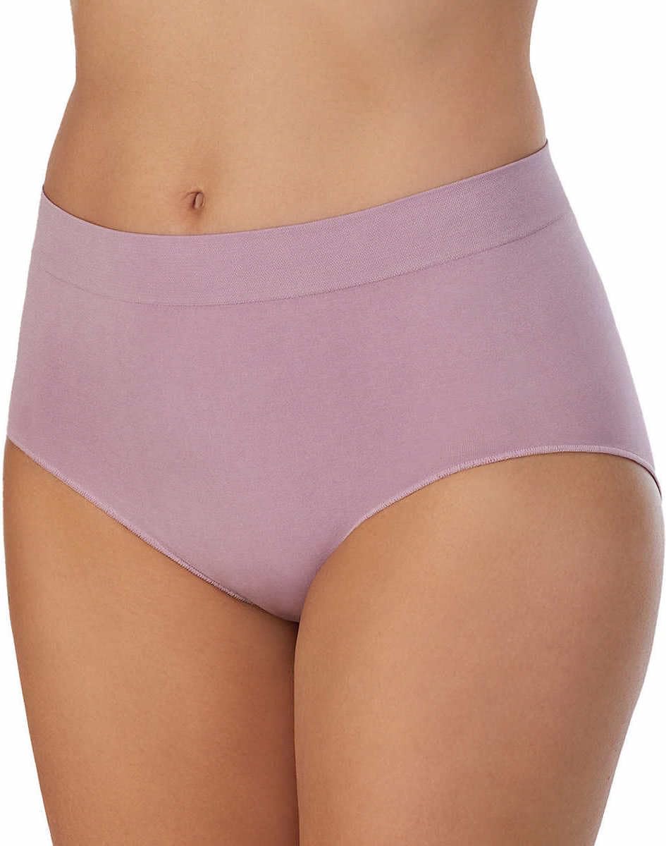 Carole Hochman Womens 5 Pack Seamless Brief (US, Alpha, Medium, Regular, Regular, Blue/Lavender)