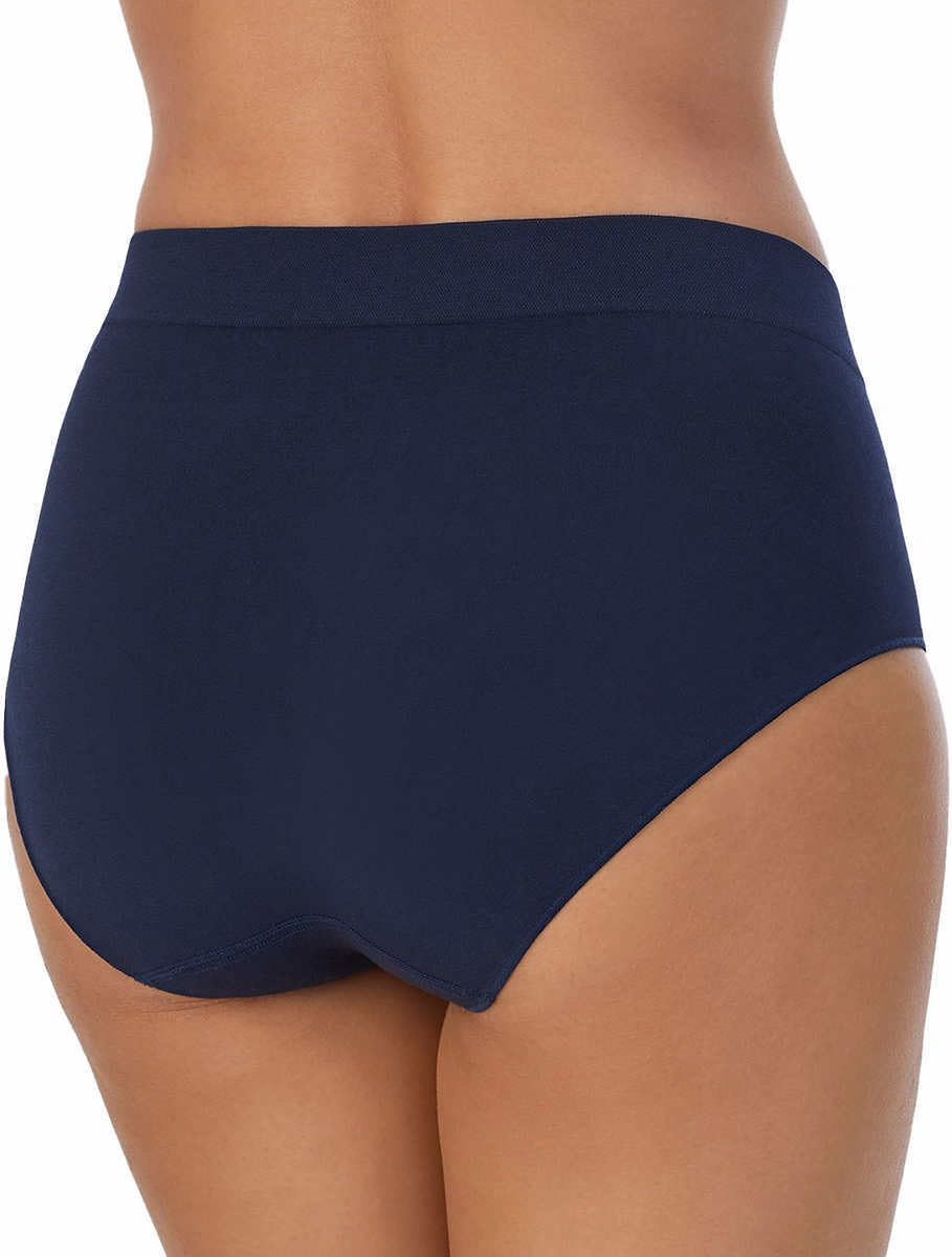 Carole Hochman Womens 5 Pack Seamless Brief (US, Alpha, Medium, Regular, Regular, Blue/Lavender)