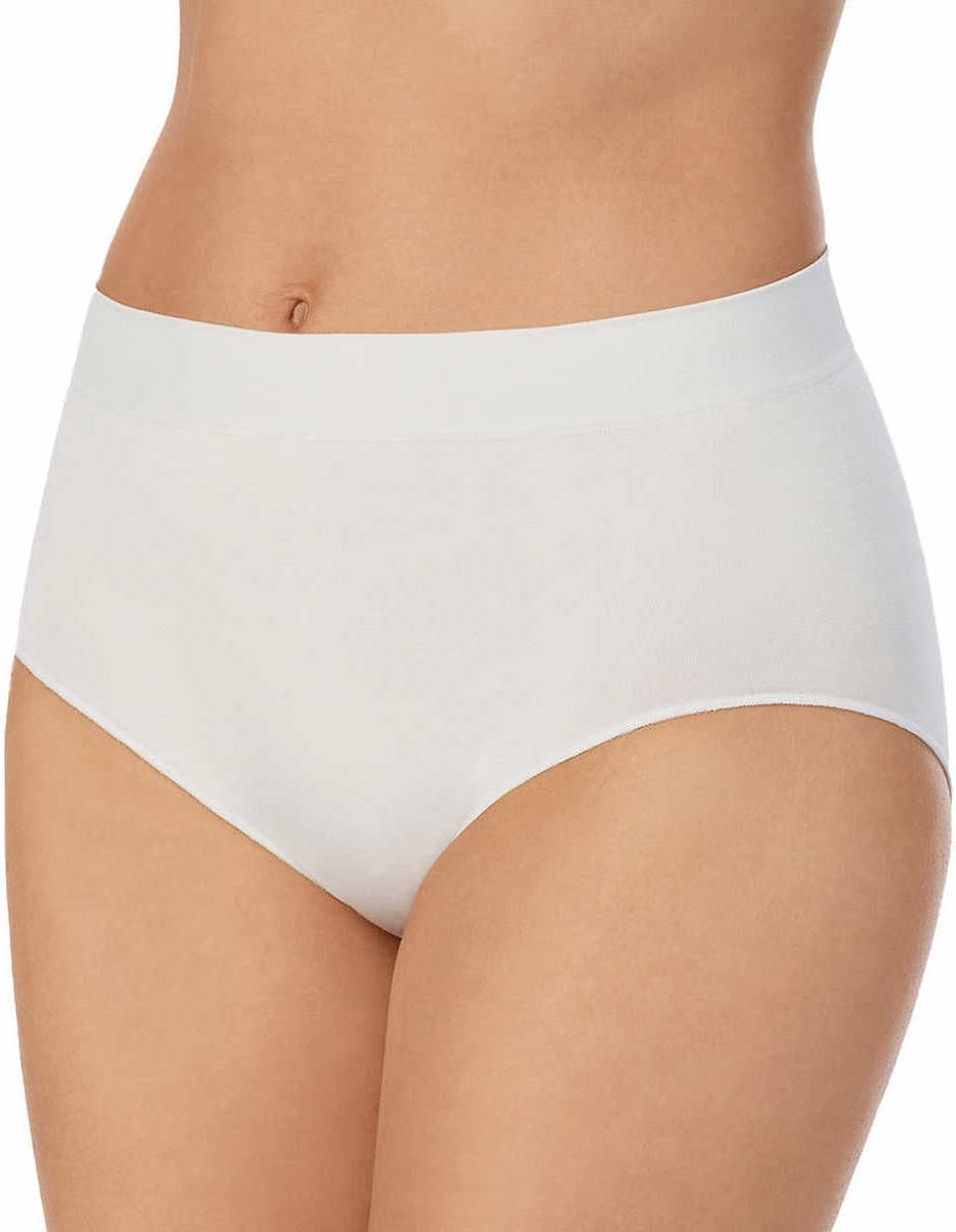 Carole Hochman Womens 5 Pack Seamless Brief (US, Alpha, Medium, Regular, Regular, Blue/Lavender)