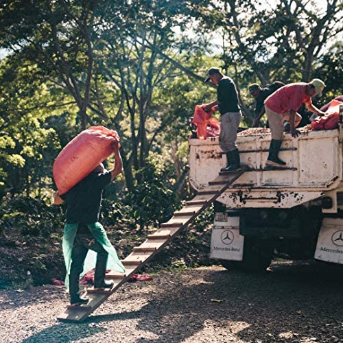 Fara Coffee, Whole Bean (Signature Roast, (Medium/Dark), 2.2 Lb)