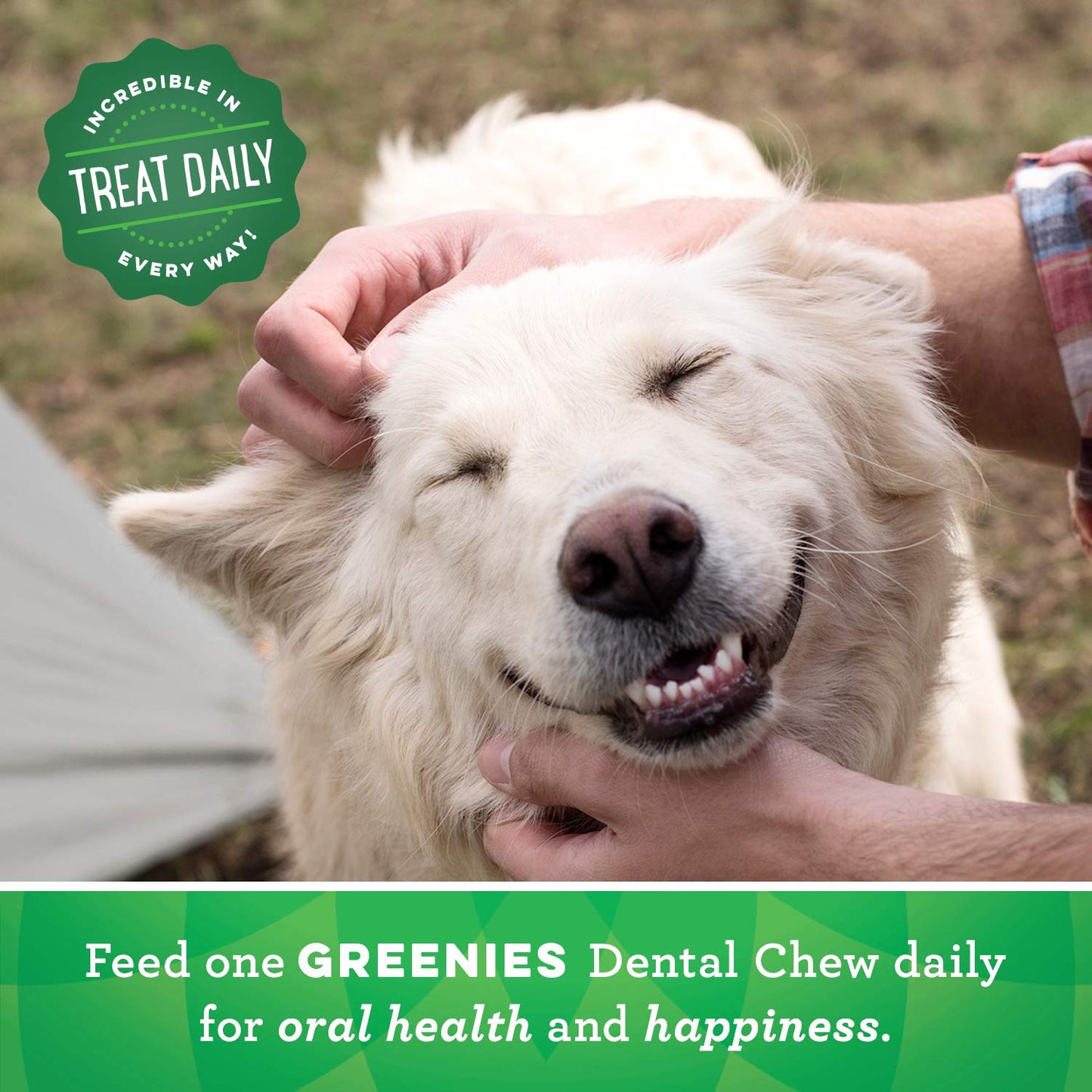 Greenies Original Large Natural Dental Care Dog Treats, 27 oz. Pack (17 Treats)