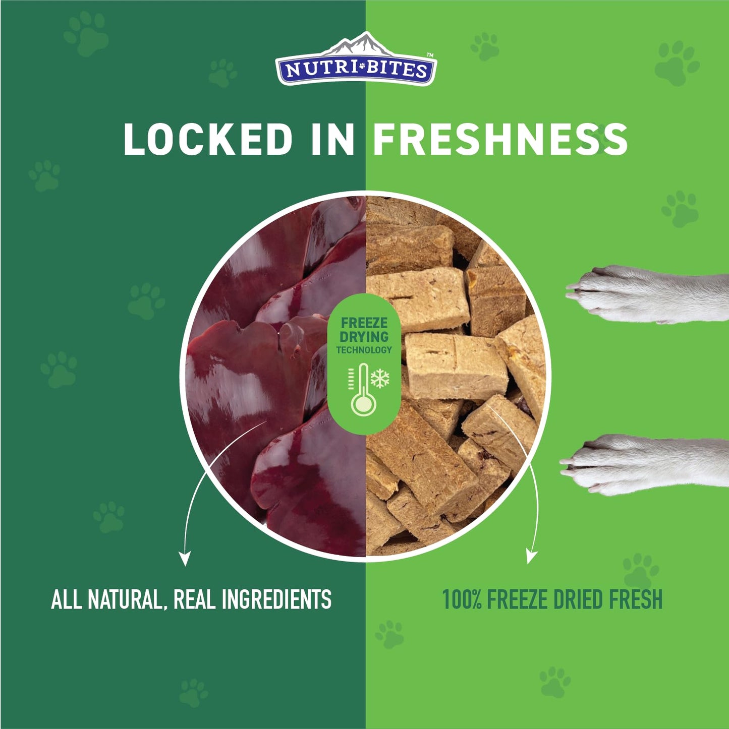Nutri Bites Liver Treats for Dogs & Cats, High-Protein Freeze Dried Beef Liver Snacks, Single Ingredient, No Additives, Perfect for Training, Sensitive Diets, Value Bulk Pack 17.6 oz