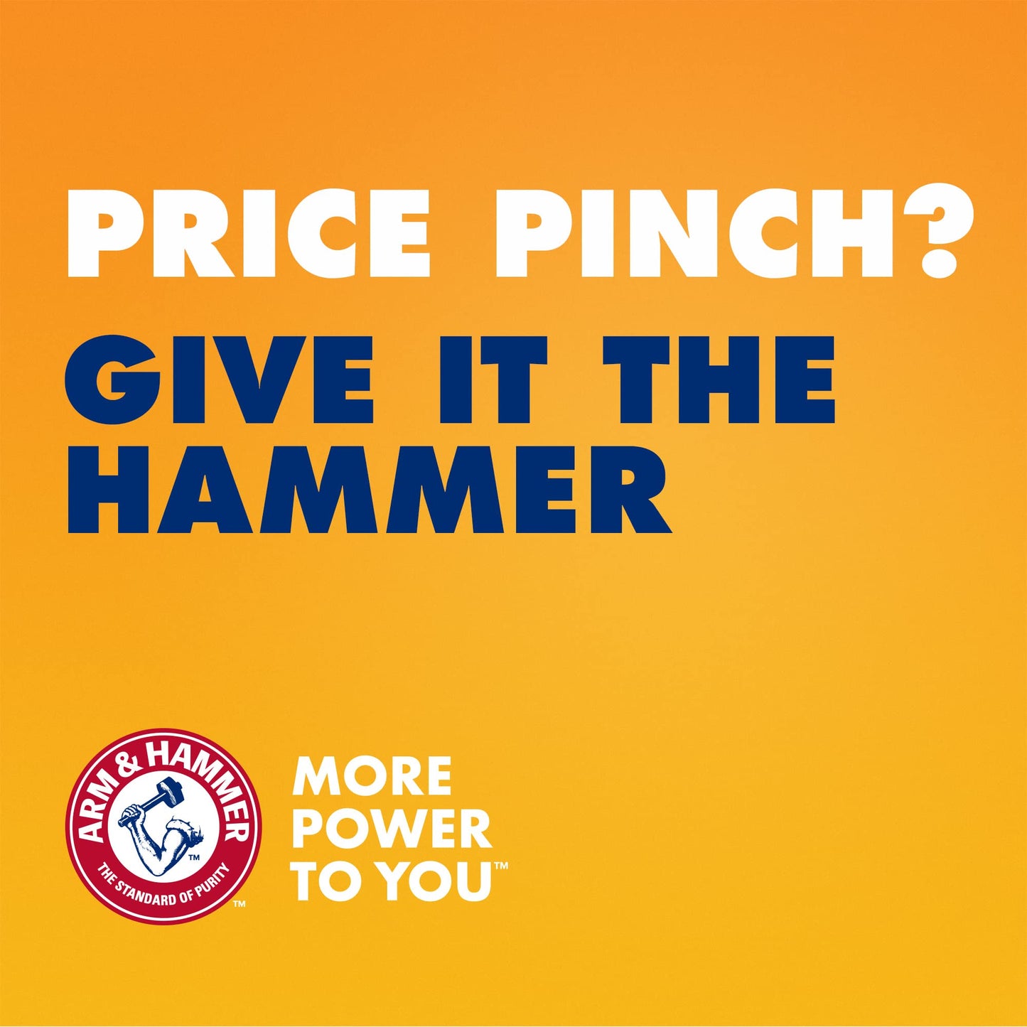 ARM & HAMMER Simply Saline Nasal Care Daily Mist 4.5oz � Instant Relief for Every Day Congestion � One 4.5oz Bottle