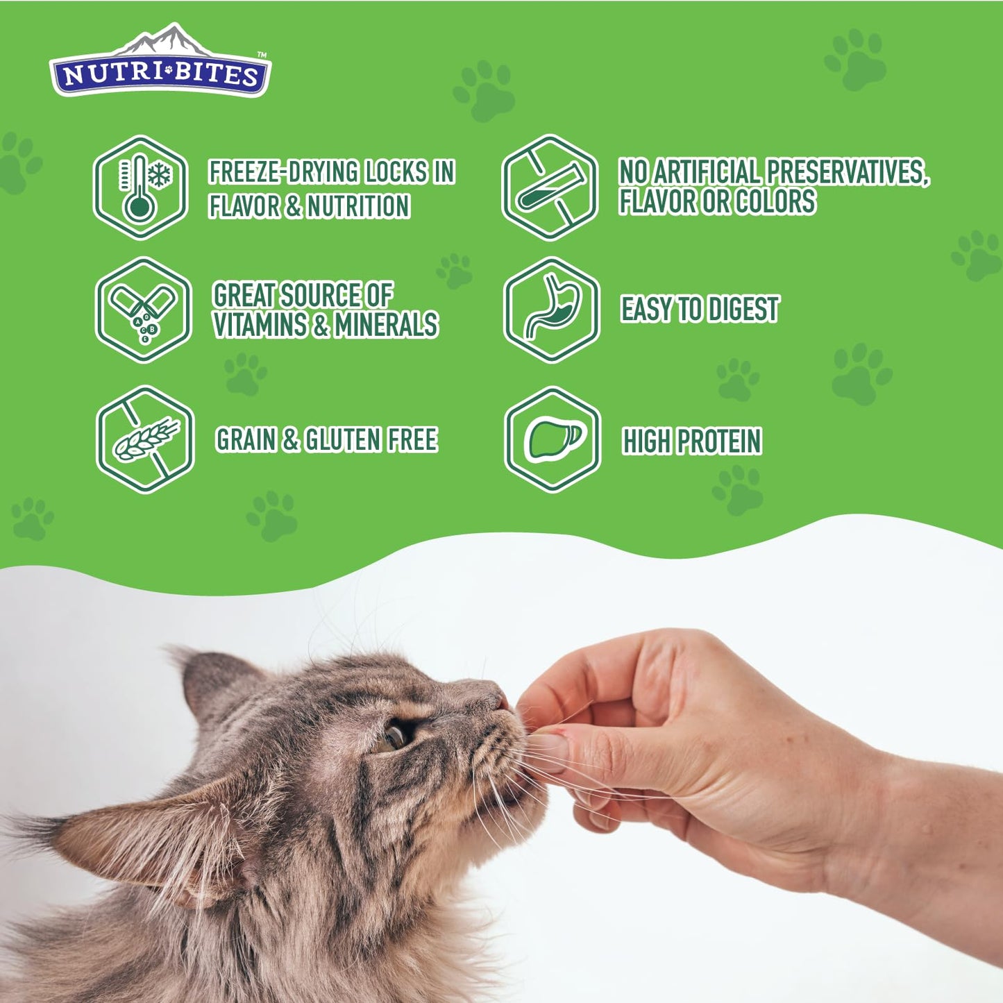 Nutri Bites Liver Treats for Dogs & Cats, High-Protein Freeze Dried Beef Liver Snacks, Single Ingredient, No Additives, Perfect for Training, Sensitive Diets, Value Bulk Pack 17.6 oz