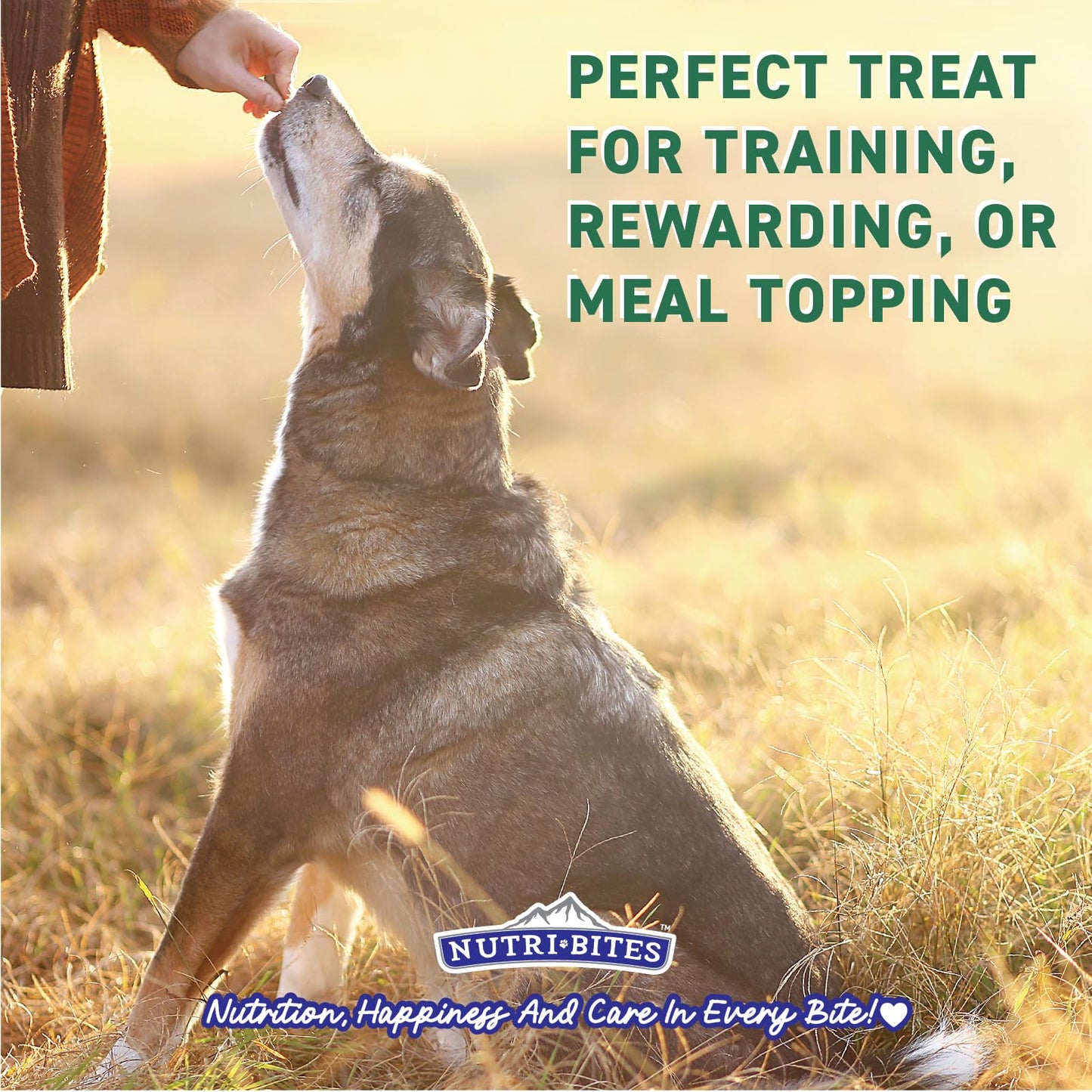Nutri Bites Liver Treats for Dogs & Cats, High-Protein Freeze Dried Beef Liver Snacks, Single Ingredient, No Additives, Perfect for Training, Sensitive Diets, Value Bulk Pack 17.6 oz