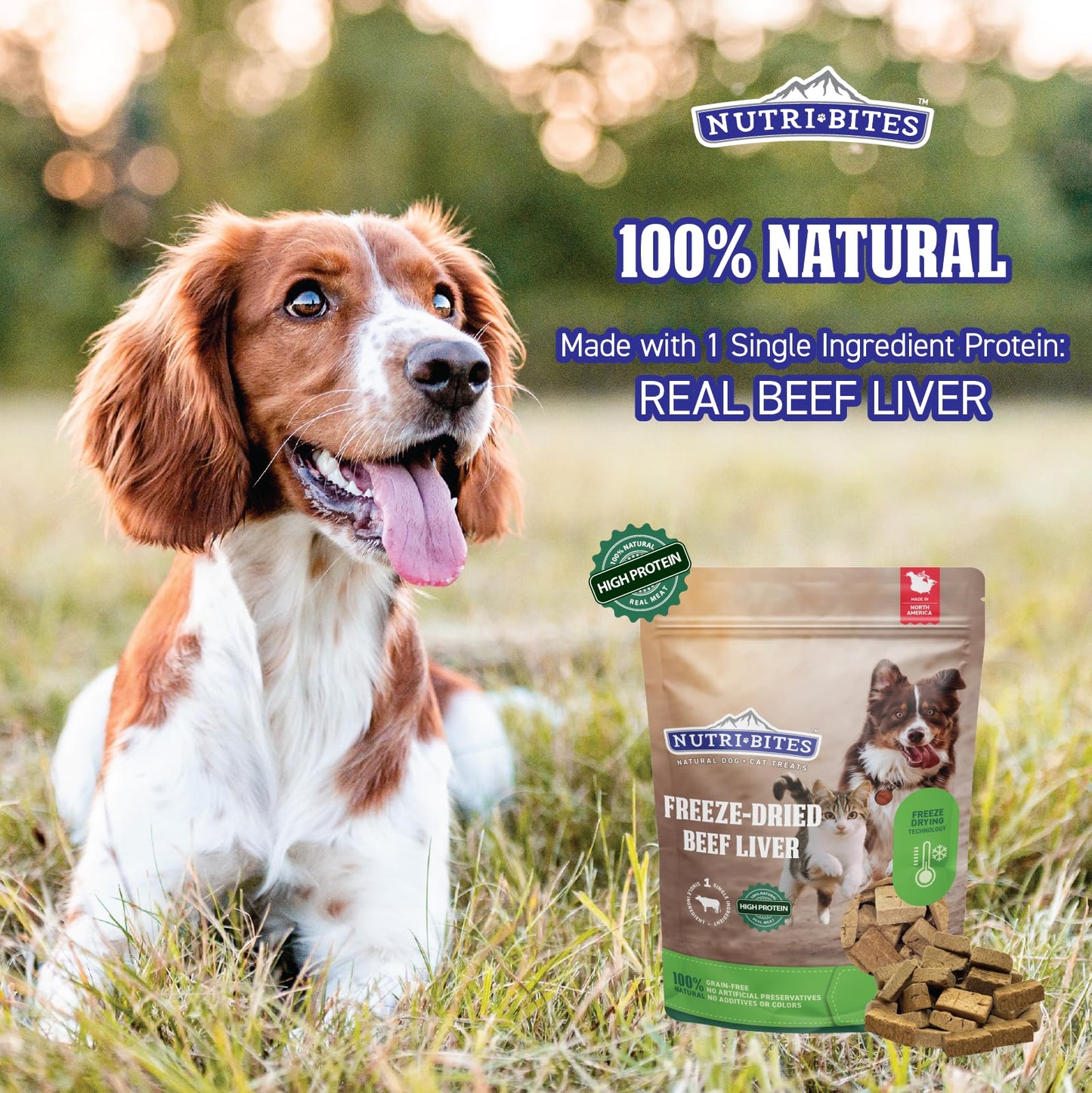 Nutri Bites Liver Treats for Dogs & Cats, High-Protein Freeze Dried Beef Liver Snacks, Single Ingredient, No Additives, Perfect for Training, Sensitive Diets, Value Bulk Pack 17.6 oz