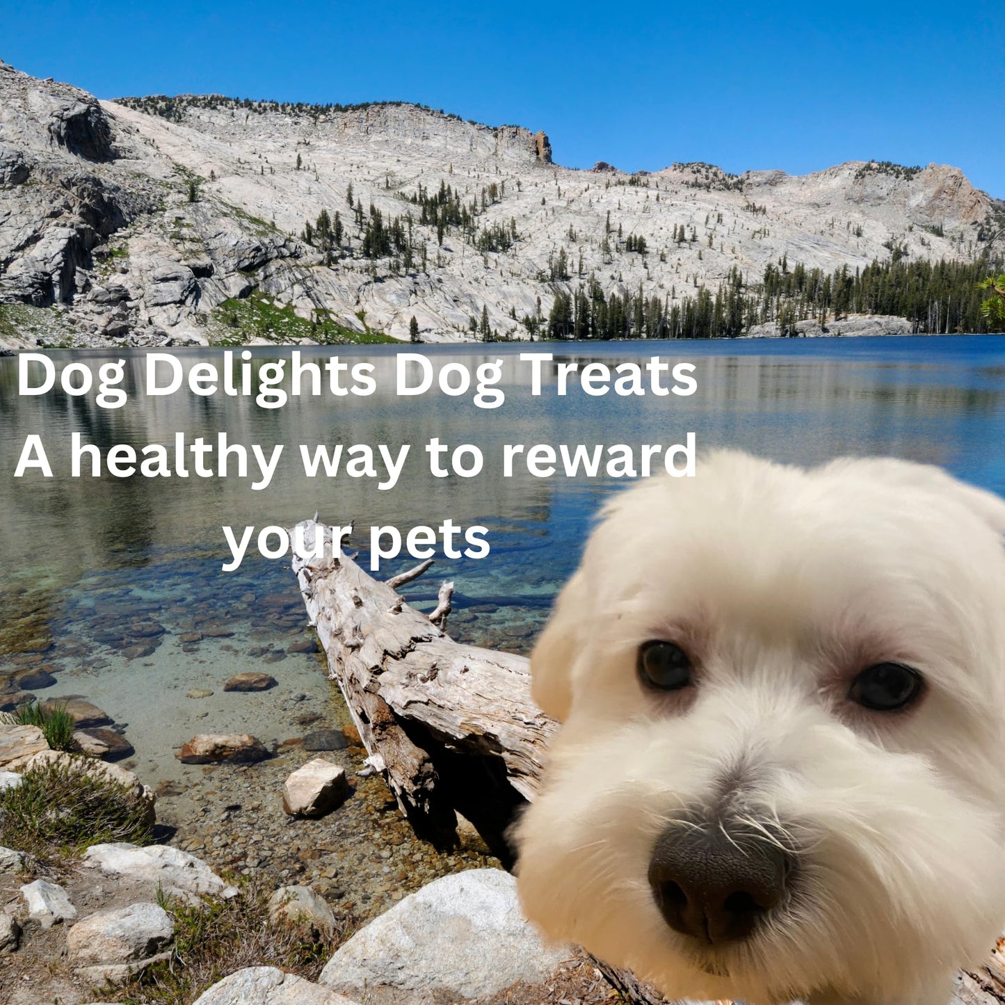 Dog Delights Chewy Duck Sticks Dog Treats - 1kg (2.2 lb) - Wholesome and Delicious Rewards for Your Furry Friend - Made in Canada