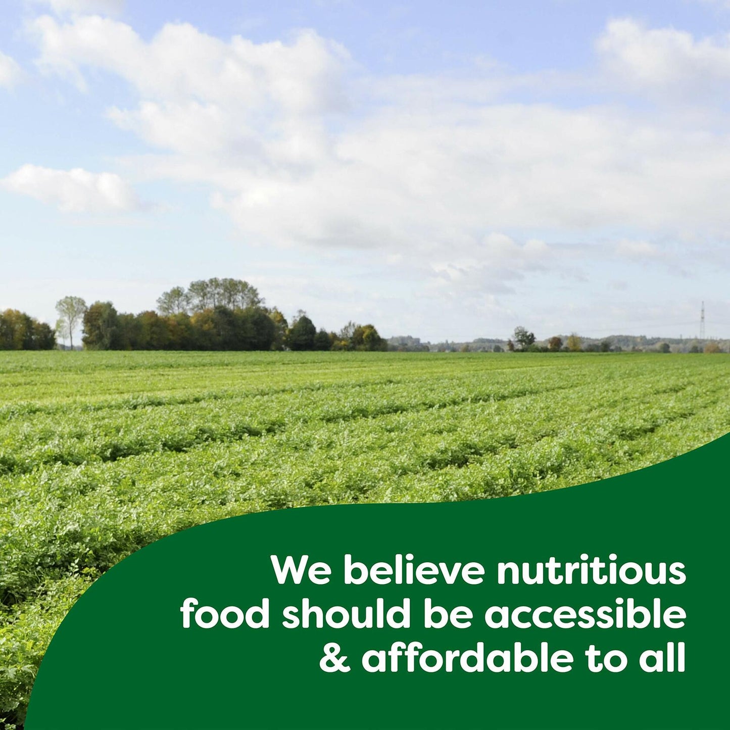 Knorr Granulated Chicken Flavor Bouillon For Sauces, Gravies And Soups Chicken Bouillon Fat And Cholesterol Free 2 lb 3 Pack