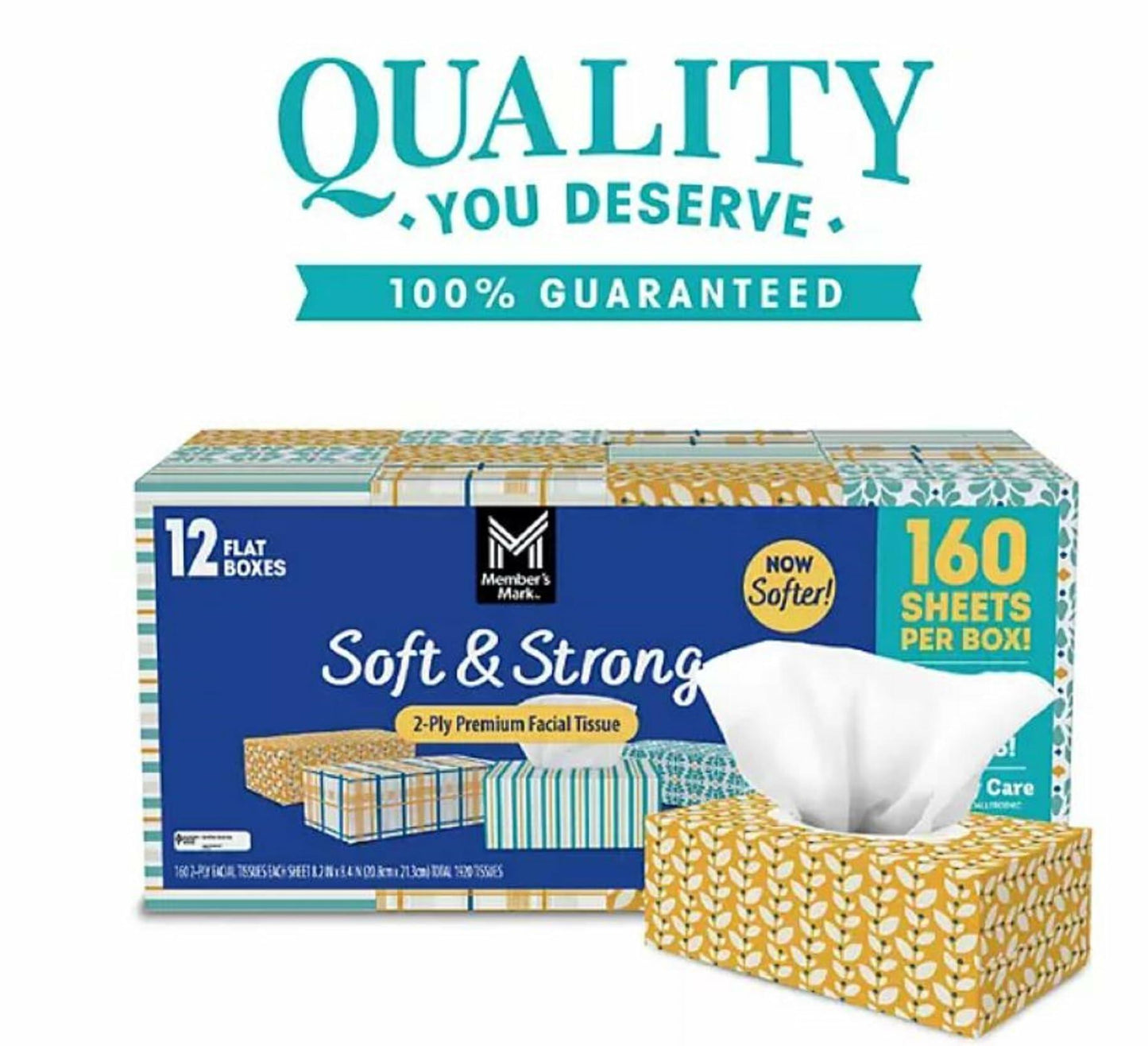 Member's Mark Member's Mark Soft & Strong Facial Tissues, 12 Flat Boxes, 160 2-ply Tissues Per Box