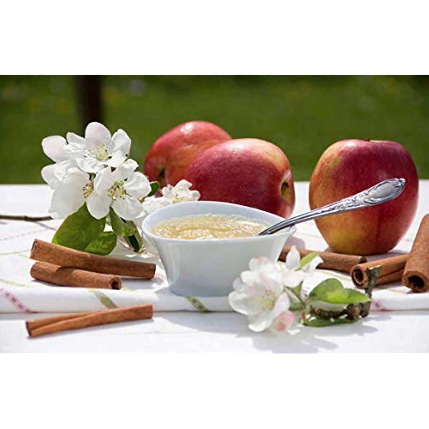 North Coast Organic Honeycrisp Apple Sauce, 24 Ounce (Pack of 6)