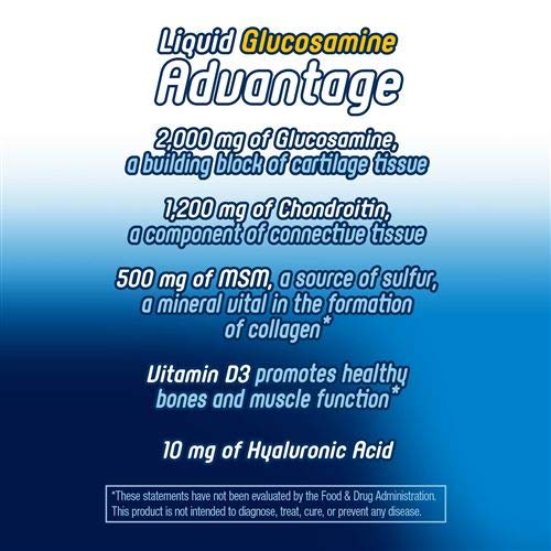 Glucosamine Chondroitin MSM - Natures Way Wellesse Joint Movement Liquid Dietary Joint Supplements Women Men - Hip Knee Back Arthritis Pain Relief with Hyaulic Acid Gluten - Move Free 33.8 oz (2)