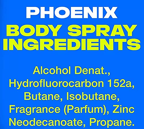 AXE Dual Action Body Spray Deodorant Phoenix, 5.1 Ounce (Pack of 3)