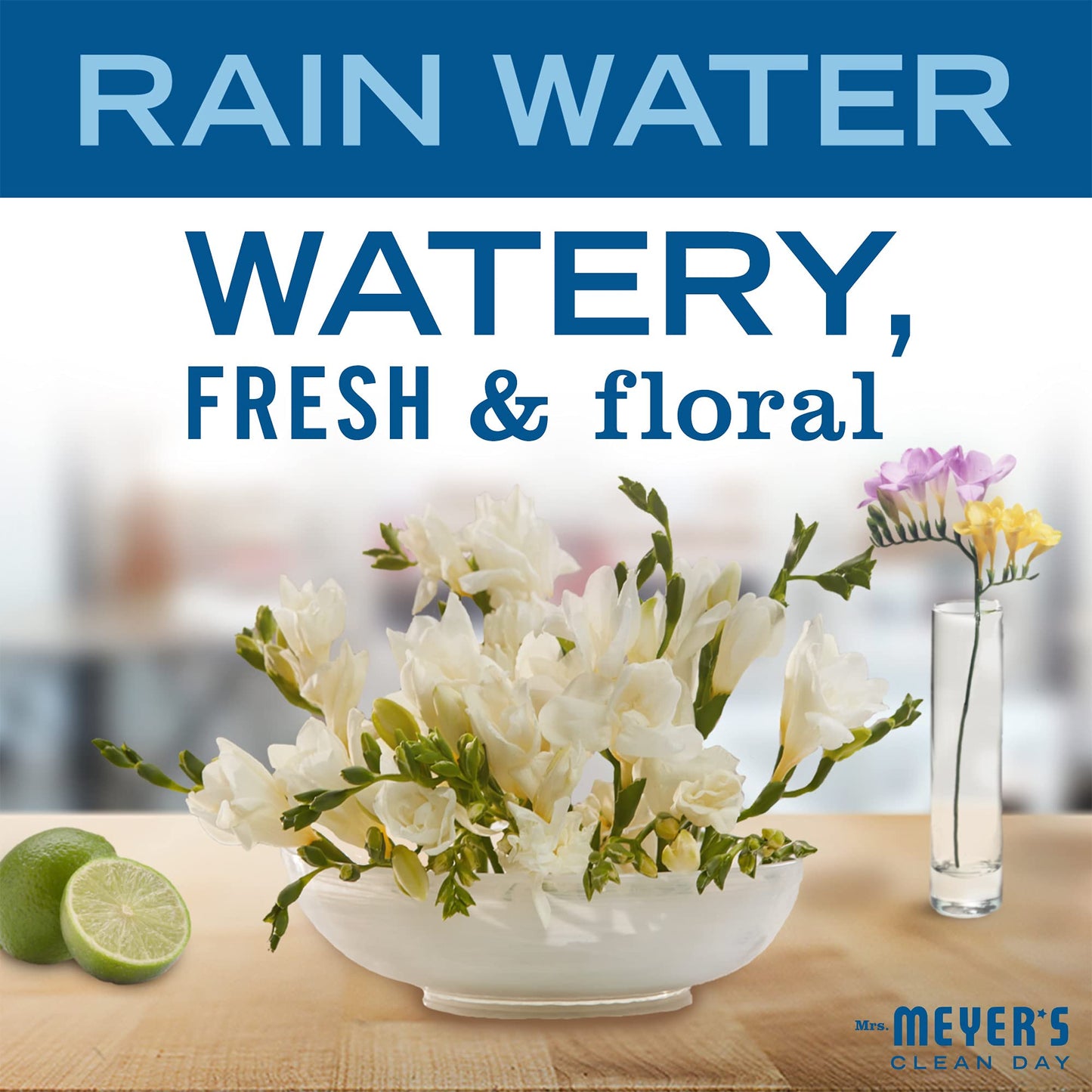 Mrs. Meyer's Hand Soap, Made with Essential Oils, Biodegradable Formula, Rain Water, 12.5 fl. oz - Pack of 3