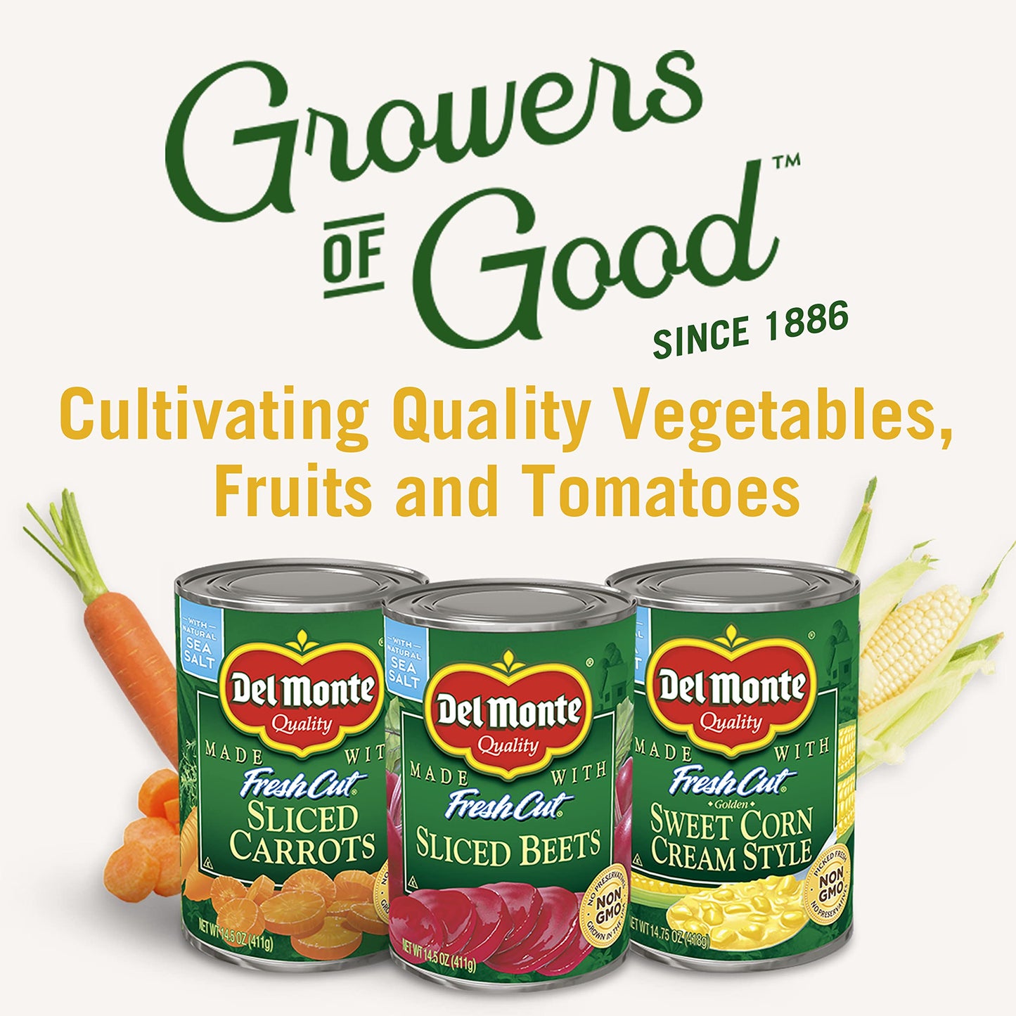 Del Monte Canned Fresh Cut Blue Lake Low Sodium Cut Green Beans, 14.5-Ounce (Pack of 12)