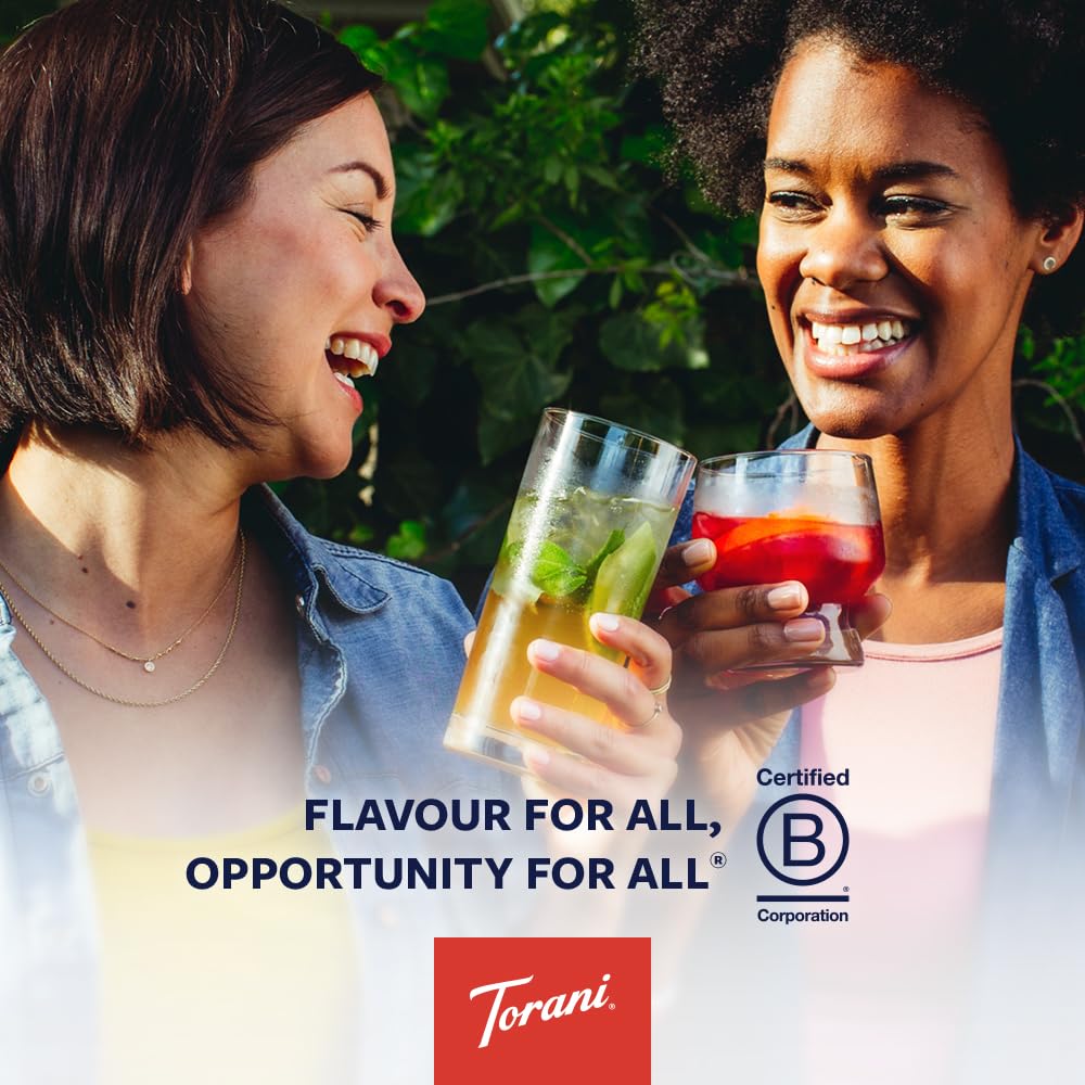 Torani Sugar Free Syrup, Vanilla, 25.4 Ounce (Pack of 1)