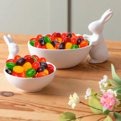 Bulk Jelly Bean Candy Large Bucket - 54oz Assorted Fruity Flavors, Soft, Chewy JellyBeans Bulk Resealable Jar for Easter Baskets, Candy Buffet, Egg Hunts, & Treats - JellyBeans