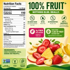 BranchOut Crunchy Fruit Chips, 100% Fruit, Better than Freeze Dried, Healthy Vegan Snacks, 7 oz Party Bag