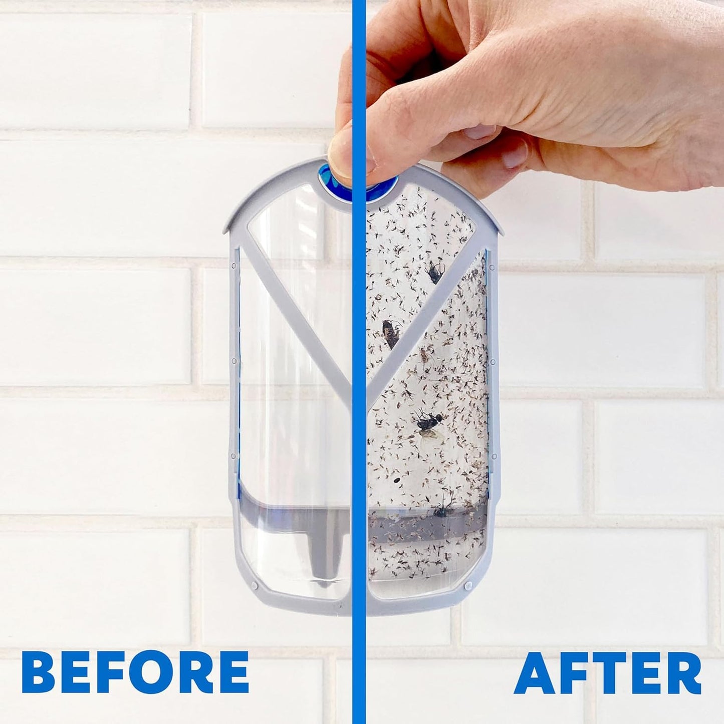 Zevo Flying Insect Trap, Fly Trap, Fruit Fly Trap (2 Plug-in Bases + 6 Refill Cartridges)