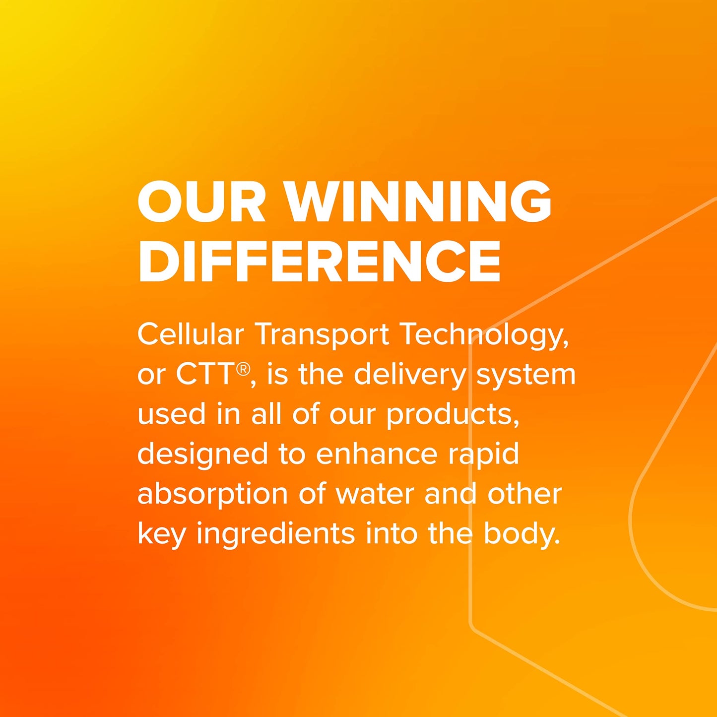 Liquid I.V. Hydration Multiplier + Immune Support, Easy Open Packets, Fresh Tangerine Flavor | 14 Sticks