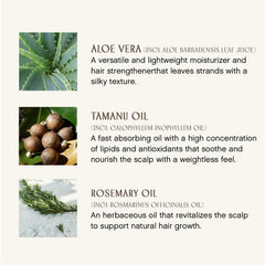 INNERSENSE Organic Beauty - Sweet Spirit Leave-In Conditioner (10oz)