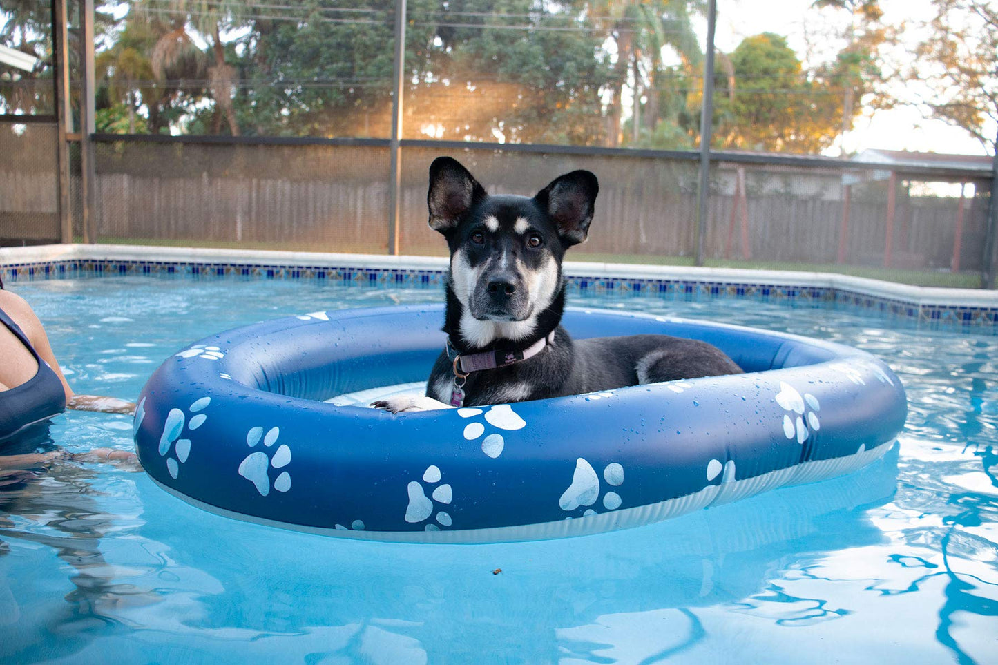 PoolCandy Inflatable Pet Float - Easy Set Up Doggy Pool Floats (Up-to 100LB PAW Large)