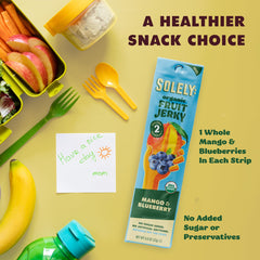SOLELY - Variety Pack - Organic Berries Fruit Jerky - Real Fresh Fruit Strips - Healthy Snacks for Adults & Kids - Non GMO, Vegan Snacks, Shelf Stable - 16 Strips (0.8 oz)