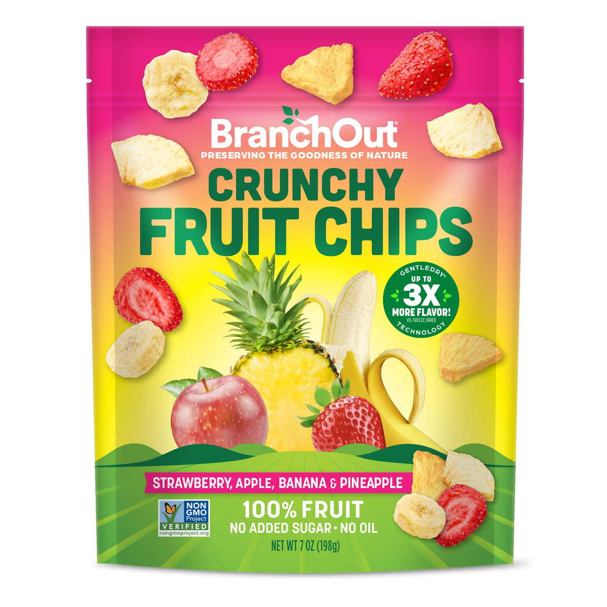BranchOut Crunchy Fruit Chips, 100% Fruit, Better than Freeze Dried, Healthy Vegan Snacks, 7 oz Party Bag