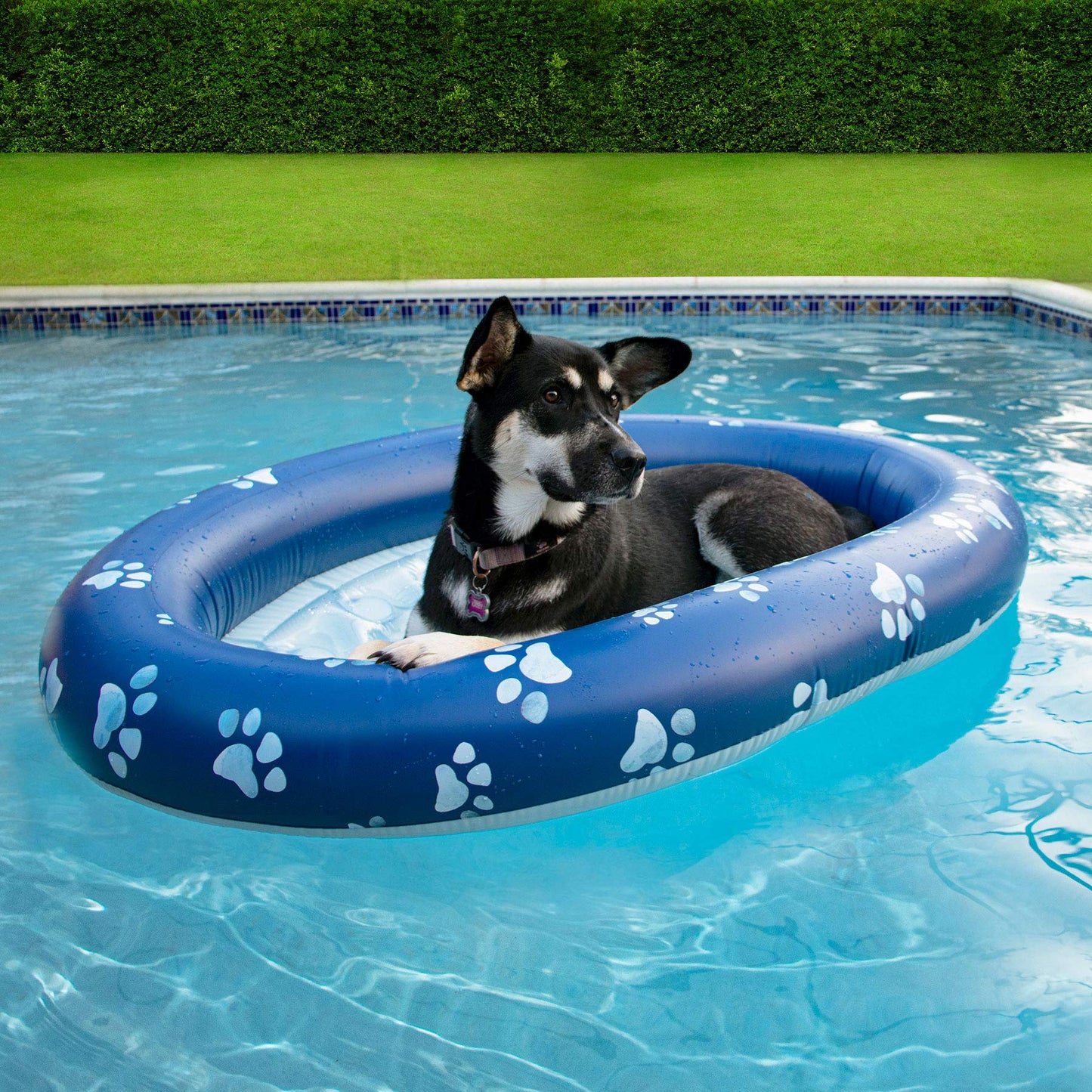 PoolCandy Inflatable Pet Float - Easy Set Up Doggy Pool Floats (Up-to 100LB PAW Large)
