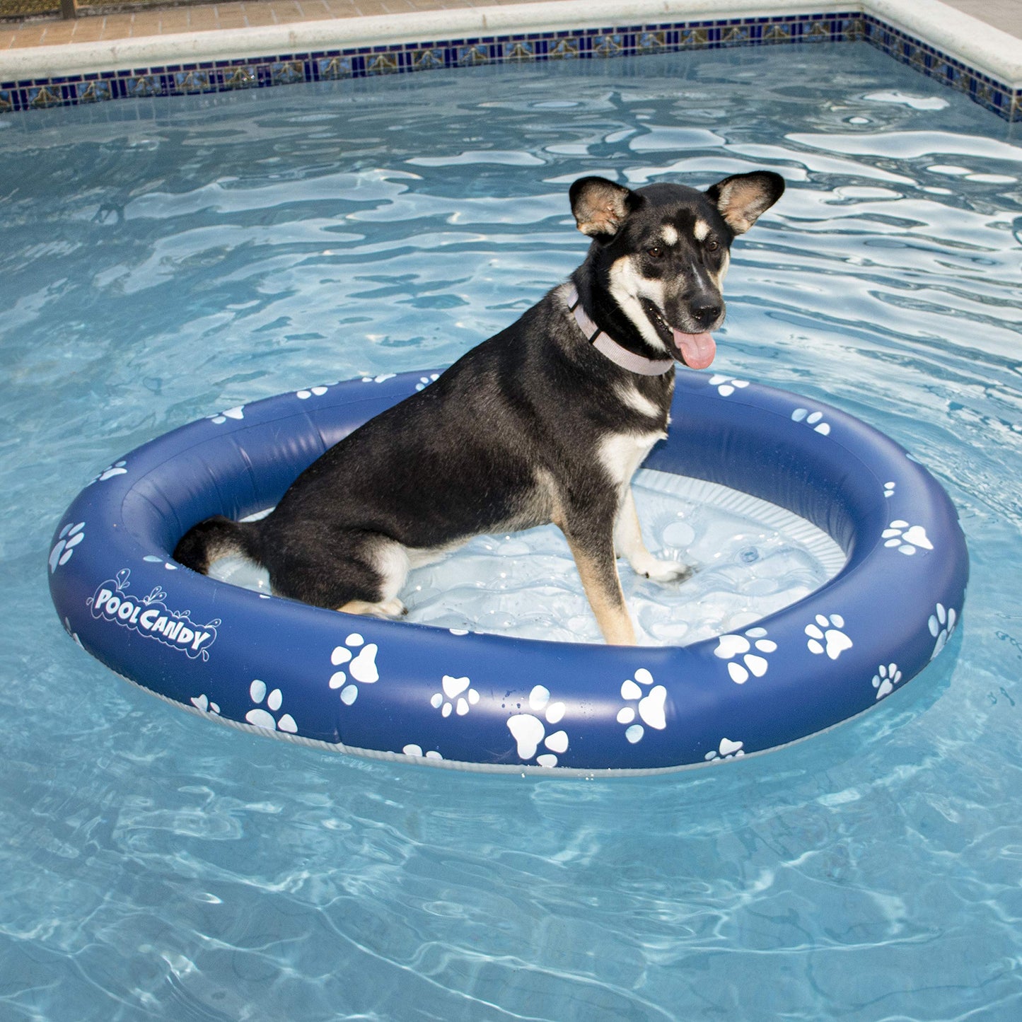 PoolCandy Inflatable Pet Float - Easy Set Up Doggy Pool Floats (Up-to 100LB PAW Large)