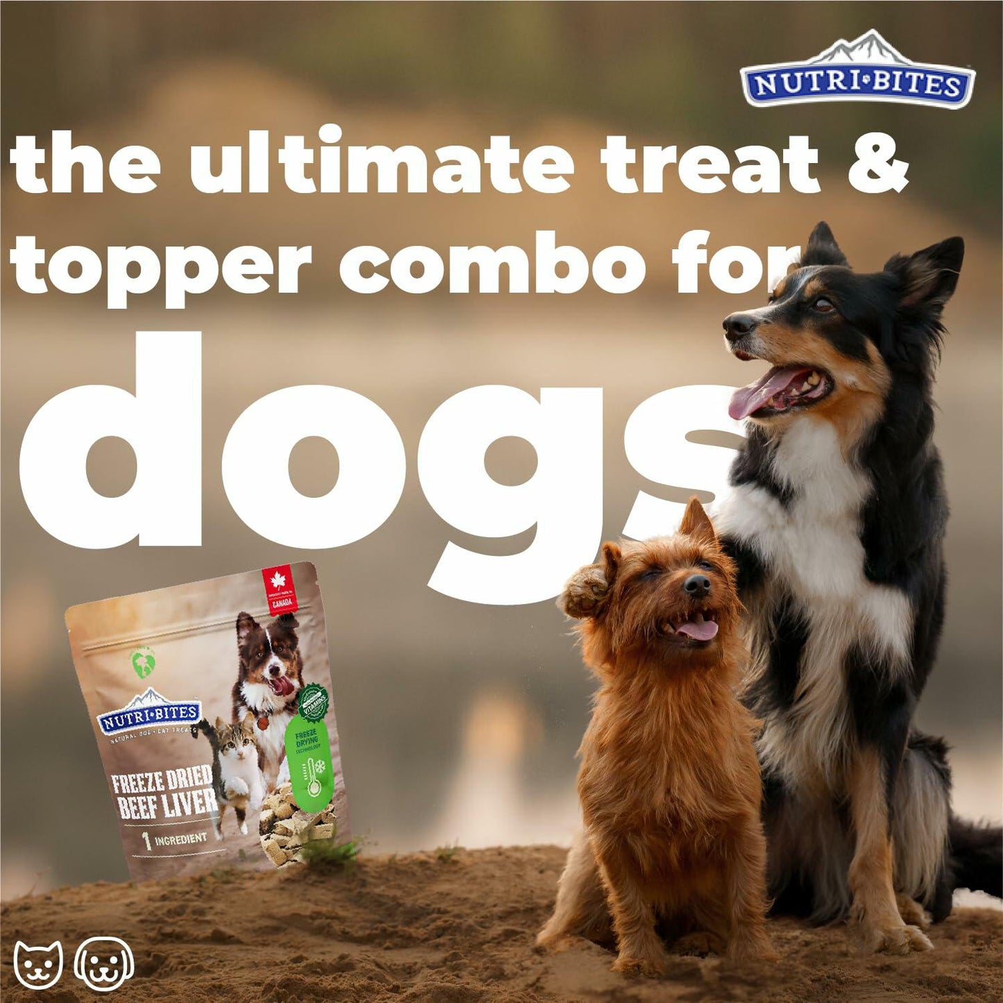 Nutri Bites Freeze Dried Beef Liver Dog Food 2-Pack: 28 oz Total Weight - Single Ingredient: Beef Liver - Protein & Grain-Free Supplement - Use as Kibble Topper or Dog Treats for Dogs - Made in Canada