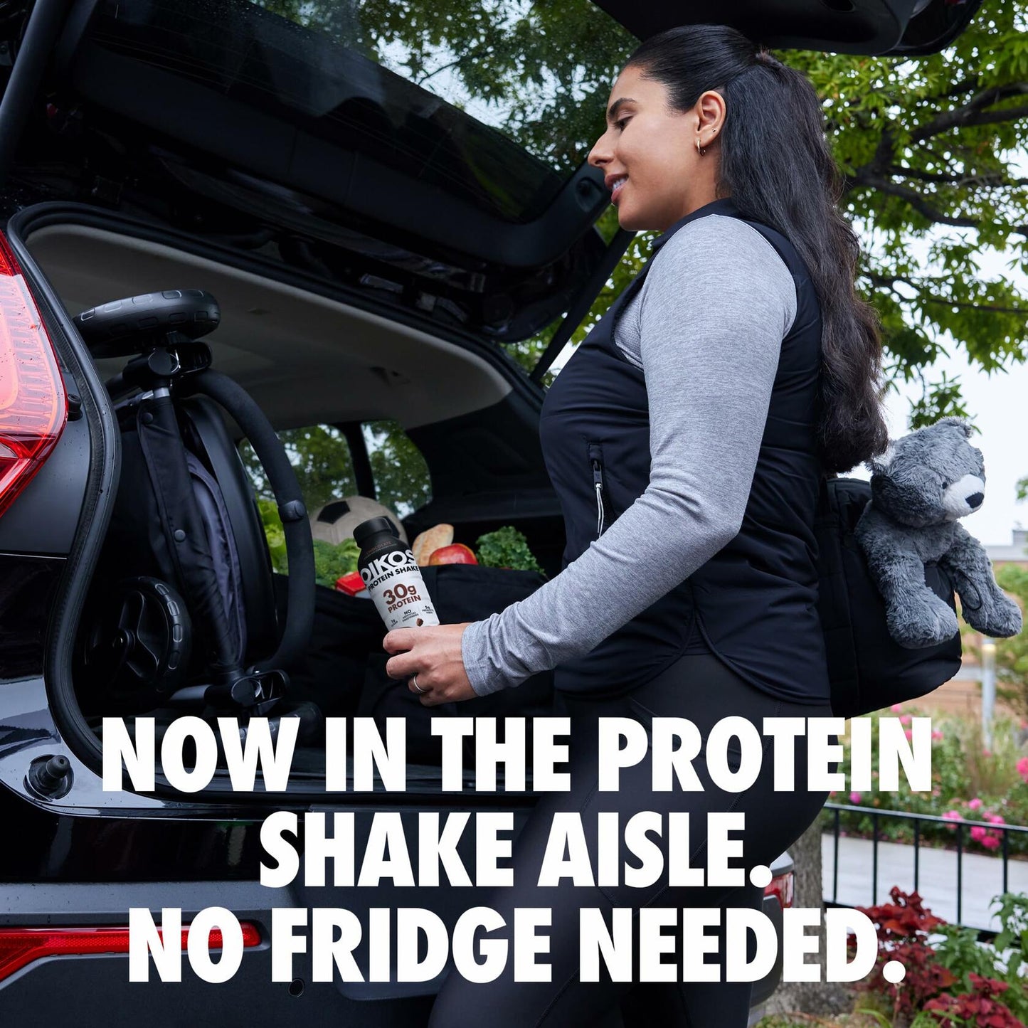 Oikos Protein Shake, Vanilla, 30g Protein, Shelf Stable Protein Drink with 5g Prebiotic Fiber, 12 fl oz Bottle, 12 Count