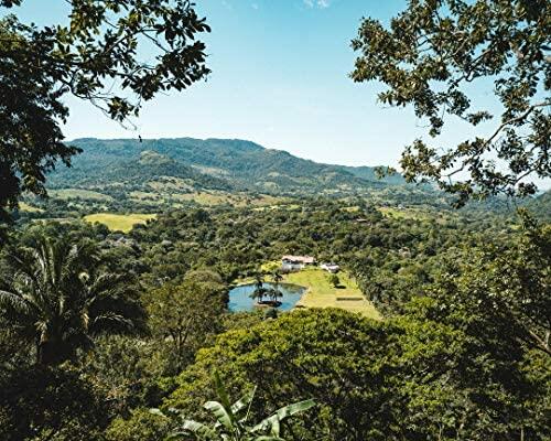 Fara Coffee, Whole Bean (Breakfast Blend, (Medium), 2.2 Lb)