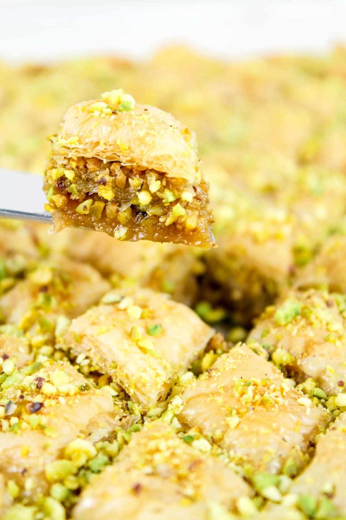 Setton Farms Naturally Raw Shelled Pistachios 20 oz Value Bag, No Shell Pistachios, Non-GMO Project Verified, Certified Gluten Free, Vegan and Kosher, Heart Healthy Snack, 20 Oz (Also perfect for making Dubai Chocolate)