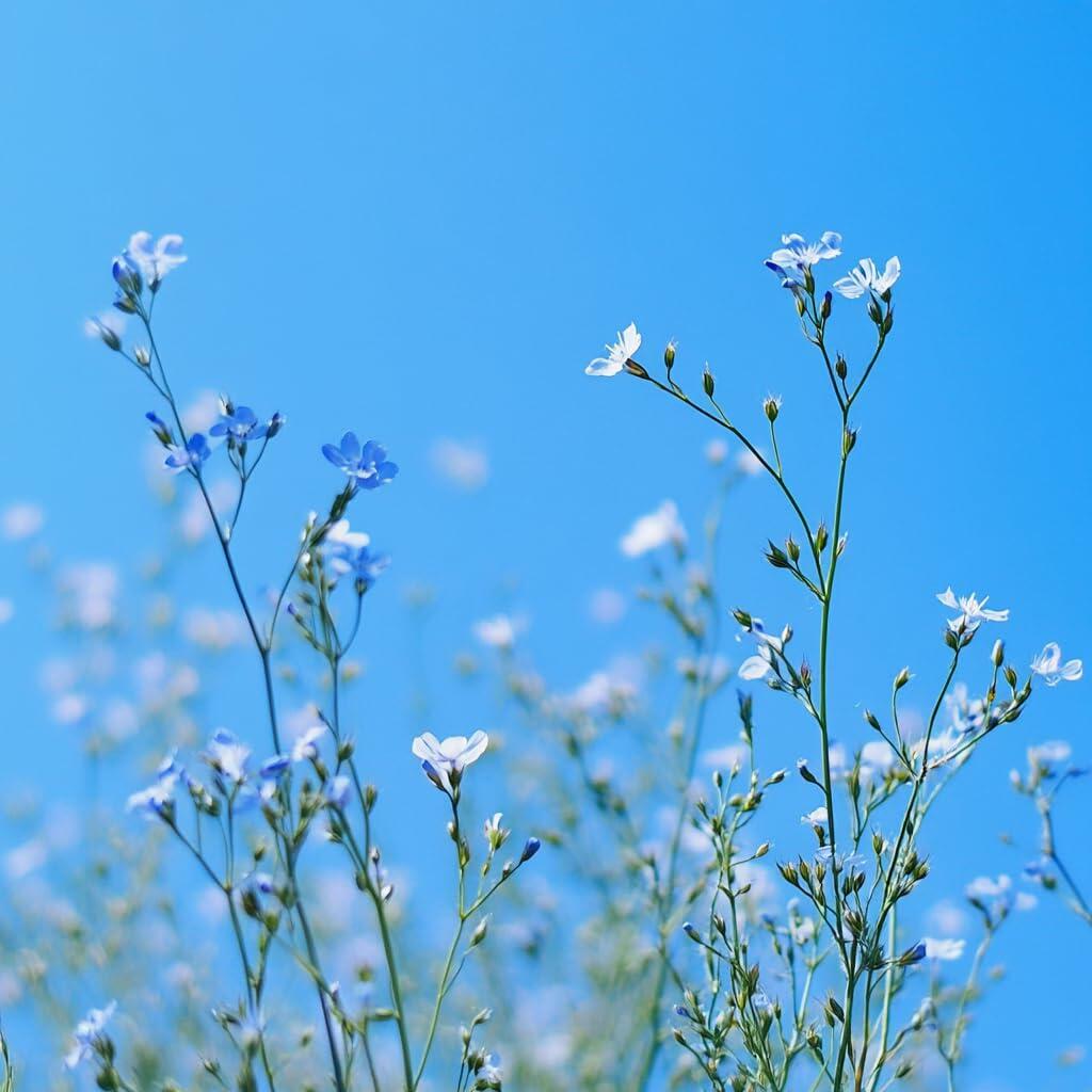 Premium Gold Organic Ground Flax Seed | 4 pounds | Omega 3 | High Fiber Food | Gluten-Free, Non-GMO, Kosher, Whole Milled Flaxseed, Plant-Based Protein, Ideal for Beverages, Baking & Topping