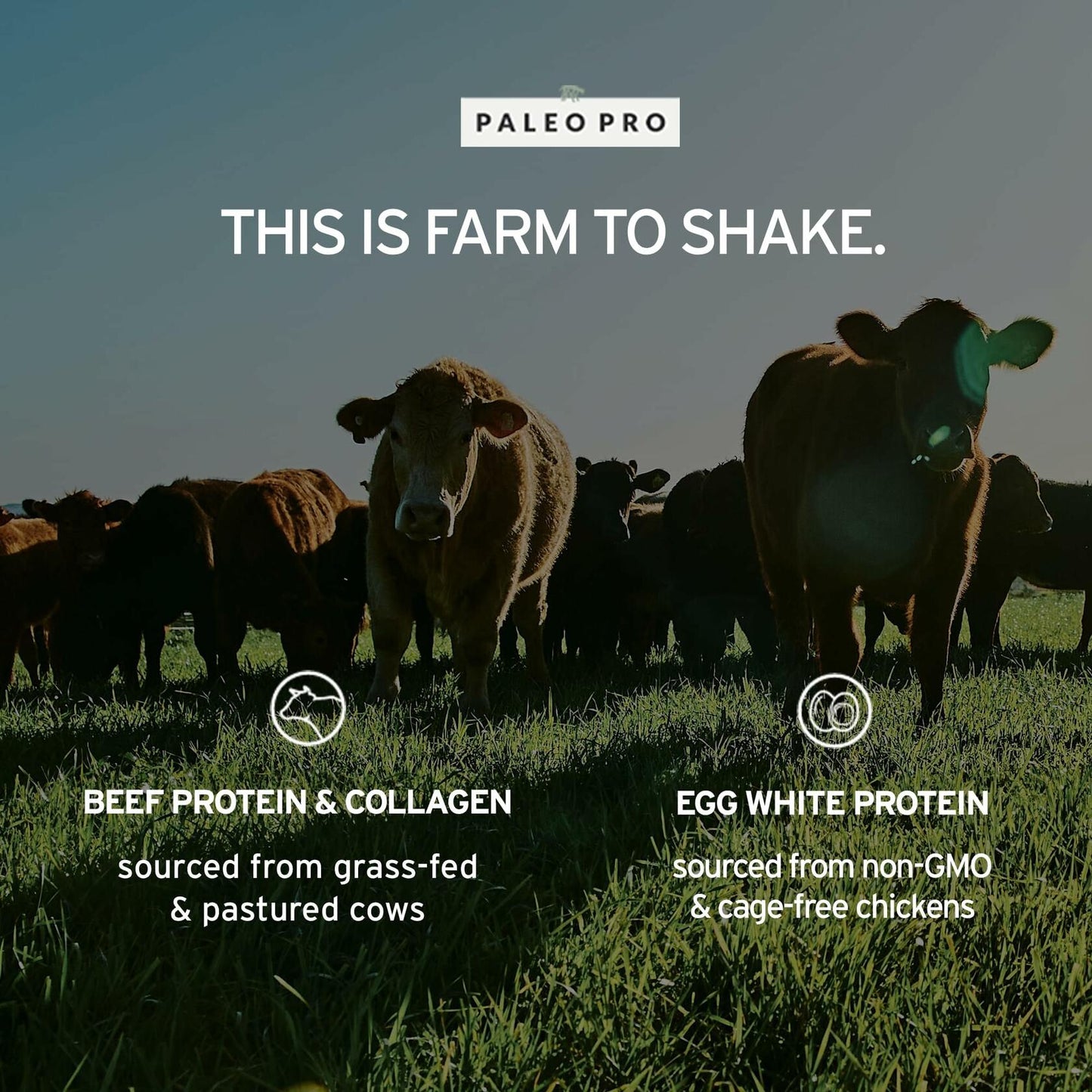 PaleoPro Protein Powder, Gluten, Dairy, Whey, and Soy Free - No Added Hormones, Pastured Grass-fed Beef, Minimally Processed Paleo Ingredients, 1lb/454g, About 15 Servings, Mayan Mocha