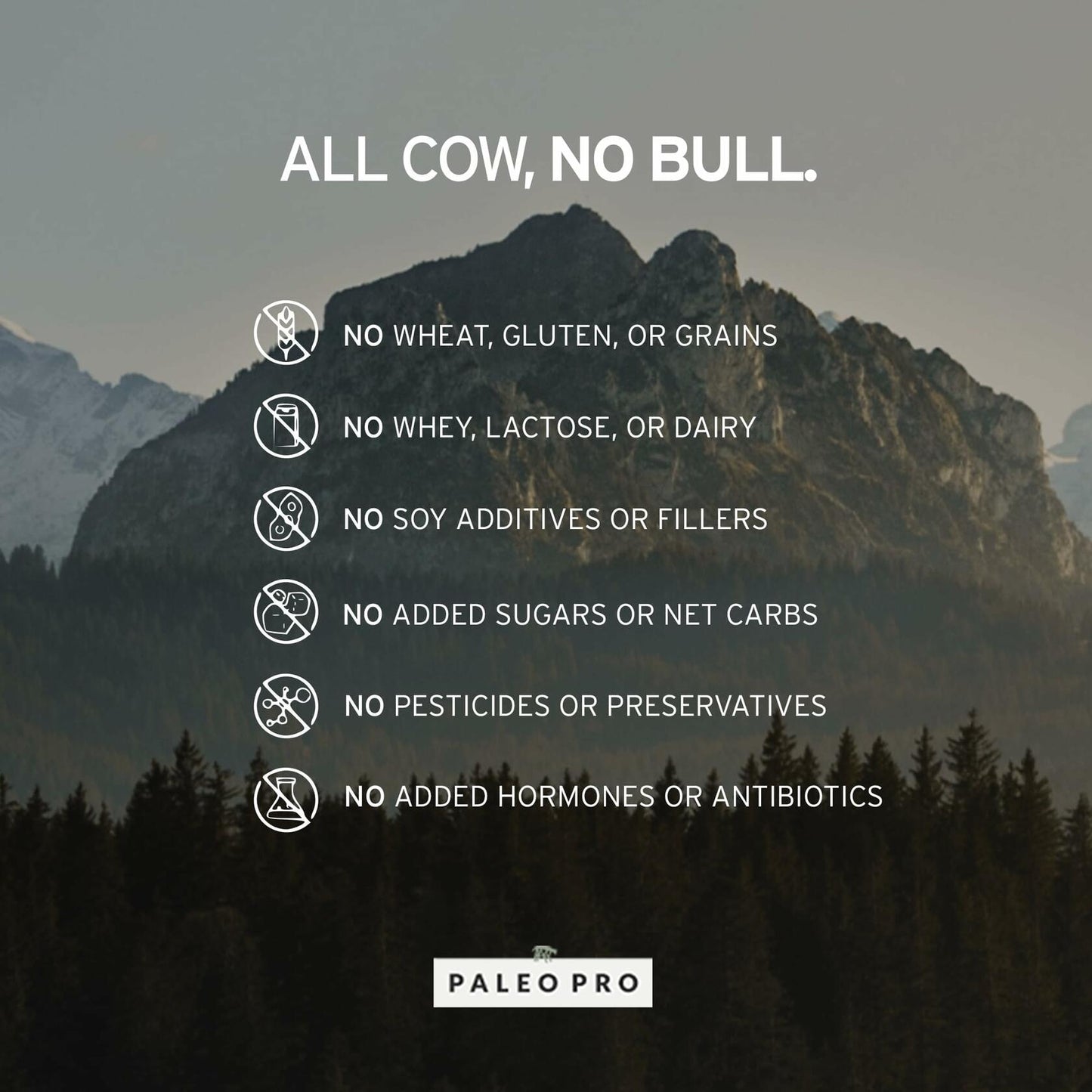 PaleoPro Protein Powder, Gluten, Dairy, Whey, and Soy Free - No Added Hormones, Pastured Grass-fed Beef, Minimally Processed Paleo Ingredients, 1lb/454g, About 15 Servings, Mayan Mocha