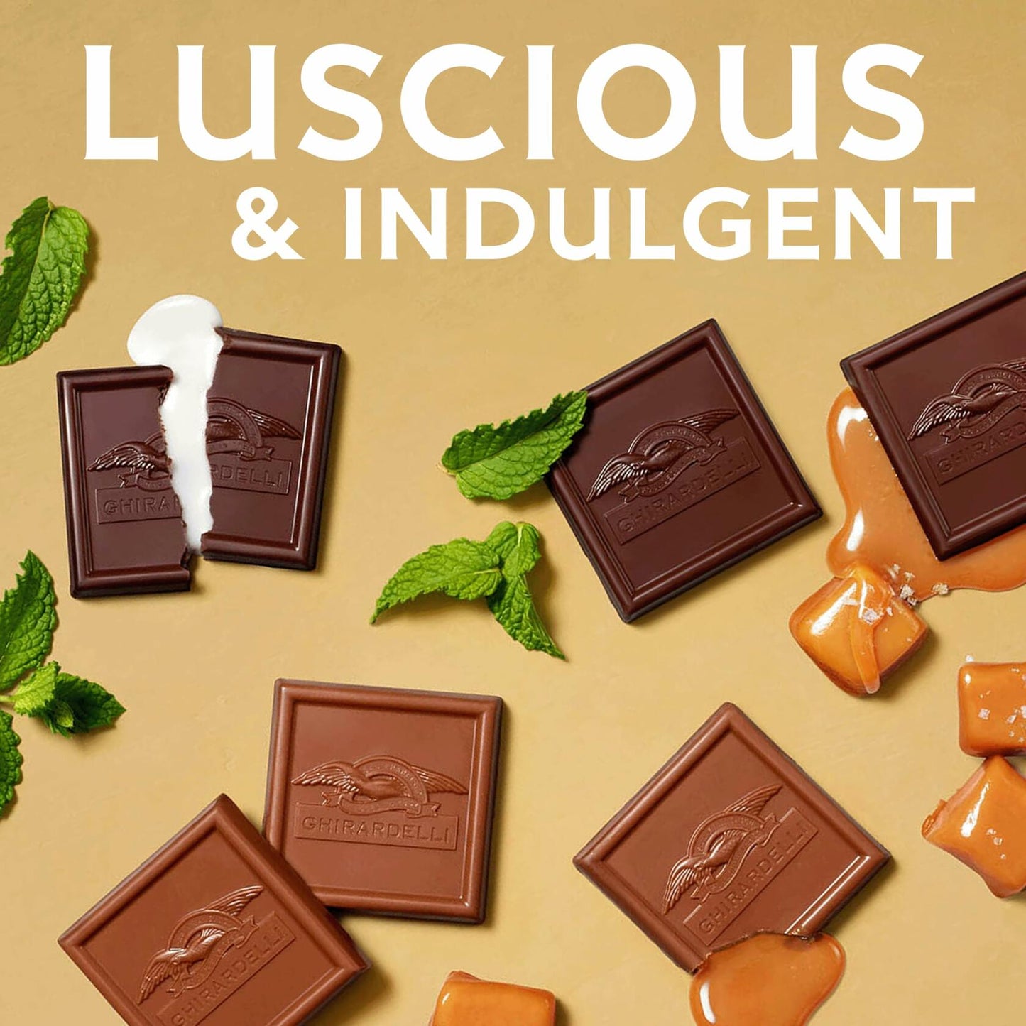GHIRARDELLI Premium Assorted Chocolate SQUARES, 23.6 oz Bag Variety Pack of Milk, Dark, Mint, and Caramel Chocolates