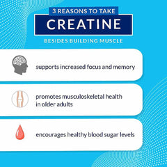 BODYTECH Creatine + Glutamine with Beta-Alanine - Advanced Performance Formula - Supports Strength, Recovery & Endurance (10.8 oz, 30 Servings)
