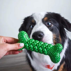Nylabone NUBZ Treat N' Chew Dog Toy Variety Pack, Natural Rubber, 3-Count, Average Chewers, Dental Cleaning