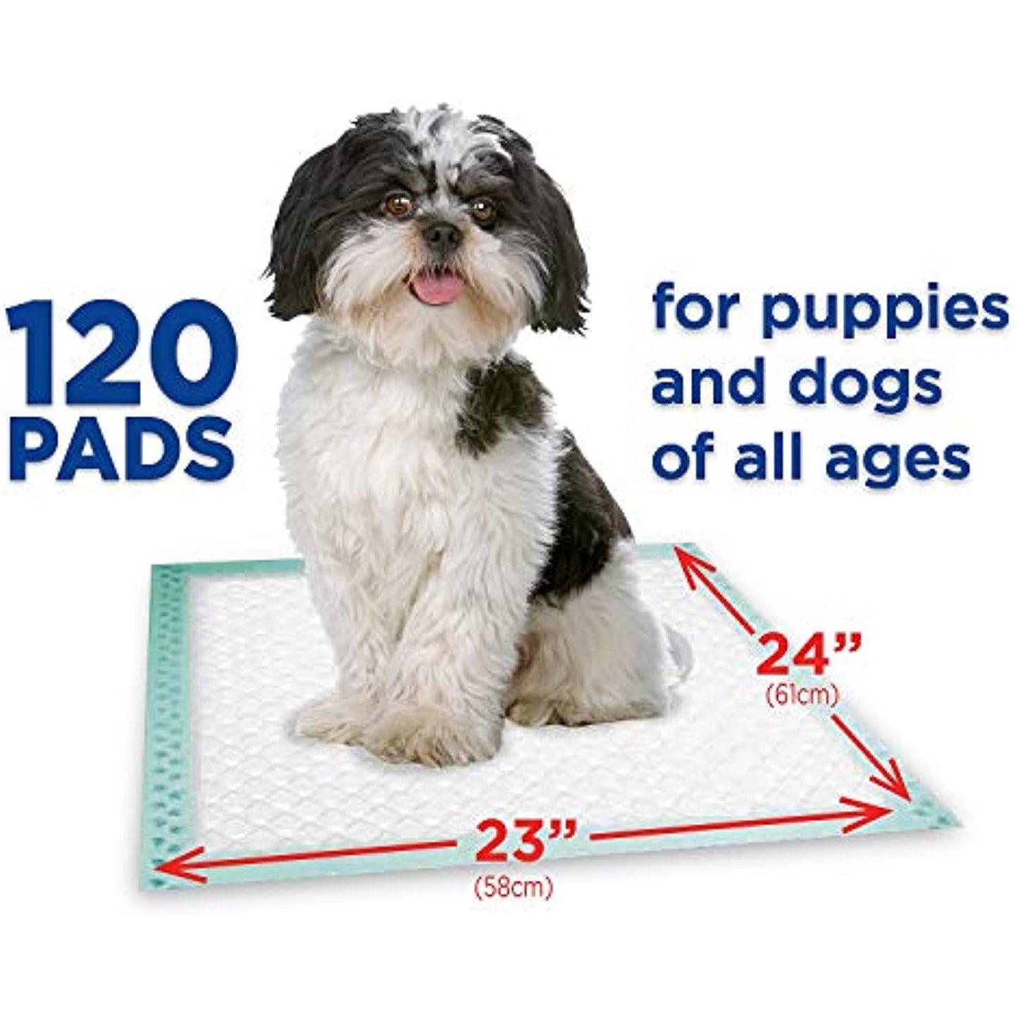 Member's Mark Pet Training Pads, (23" x 24" (Pack of 4))