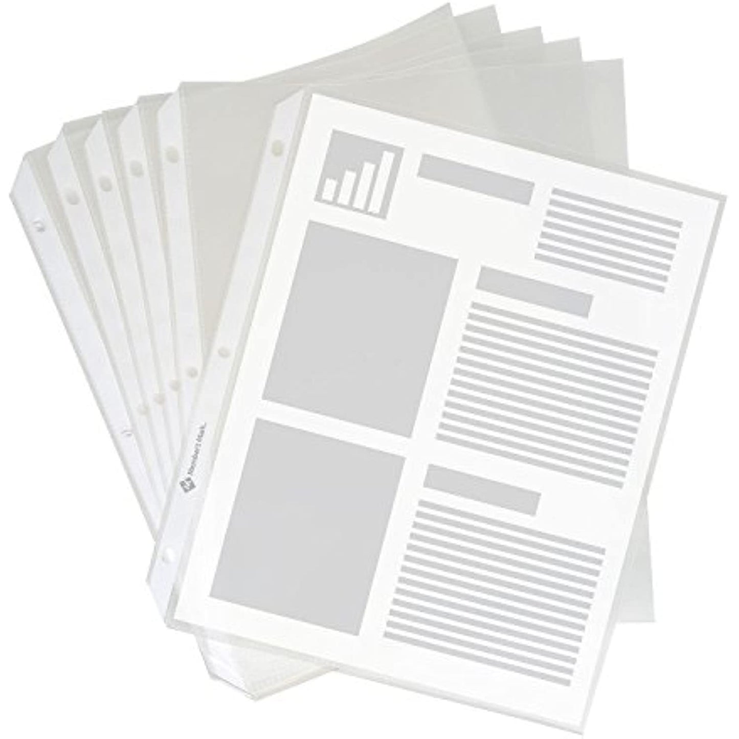 Member's Mark Heavyweight Sheet Protectors, Clear (250 ct.)