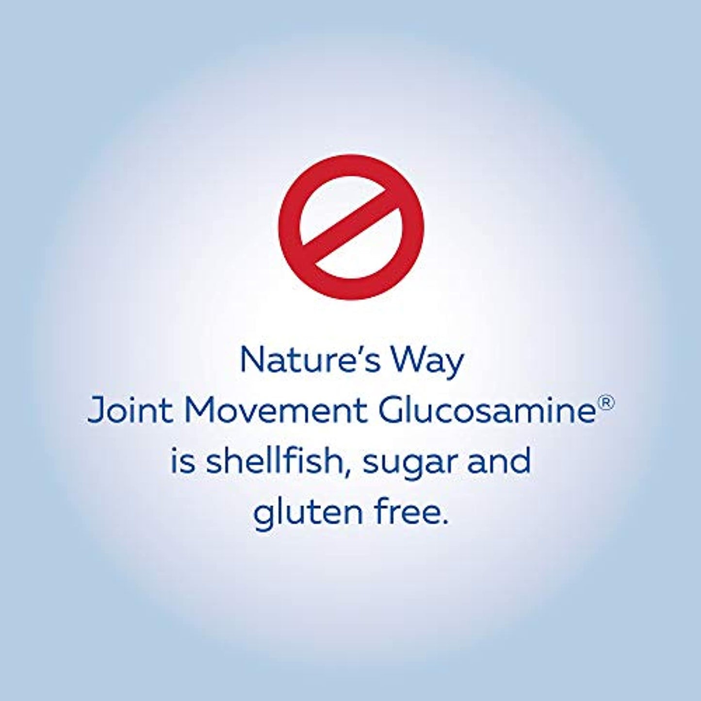 Natures Way Liquid Formula Joint Movement Glucosamine, 480 ML