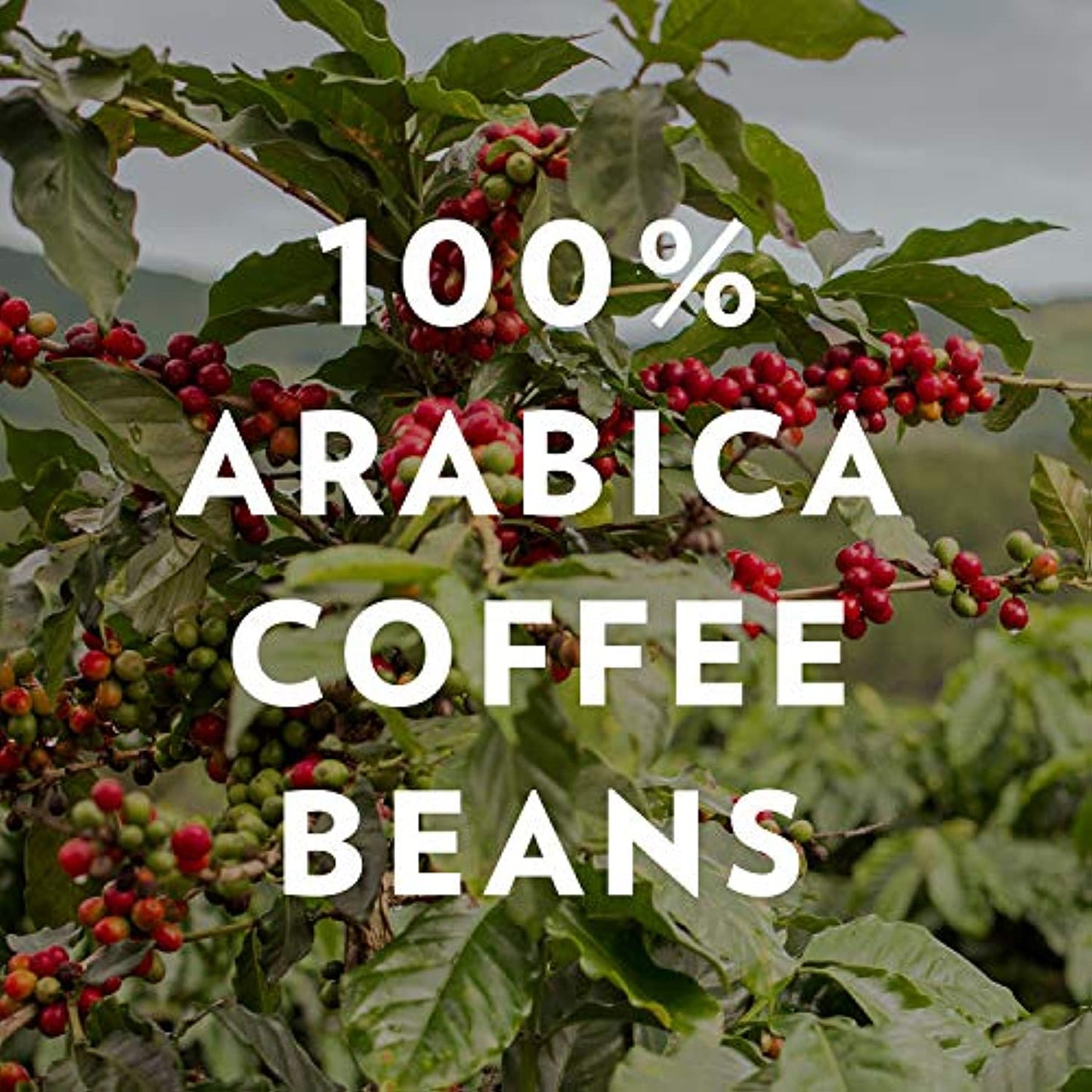 Community Coffee Breakfast Blend Medium Roast Ground 46 oz Bag