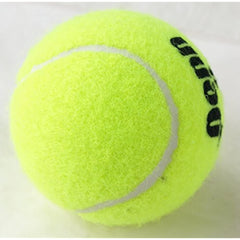 Penn Championship (20 Cans, 60 Balls Total Regular Duty Felt)