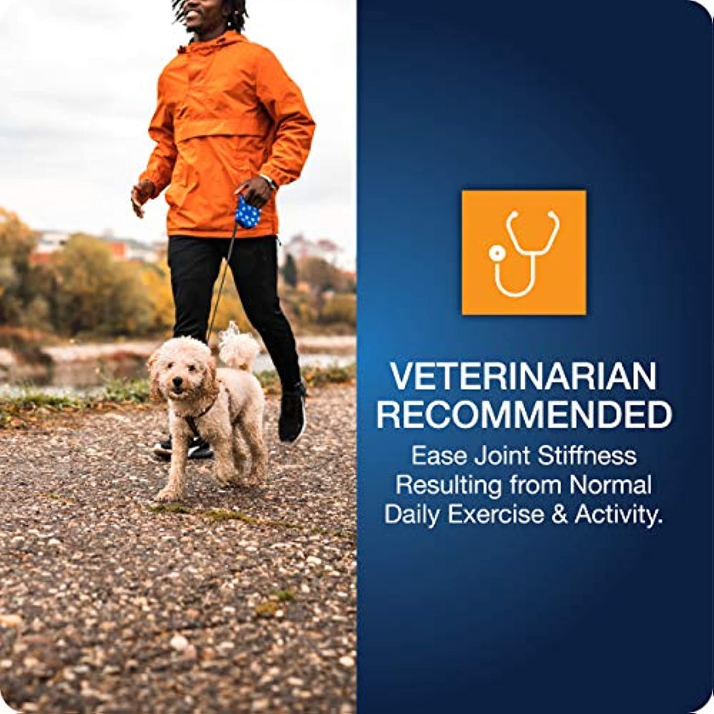 VetIQ Hip & Joint Supplement for Dogs, Anti Inflammatory Joint Support, Chondroitin and Glucosamine, Chicken Flavored Soft Chews, 180 Count - Packaging May Vary