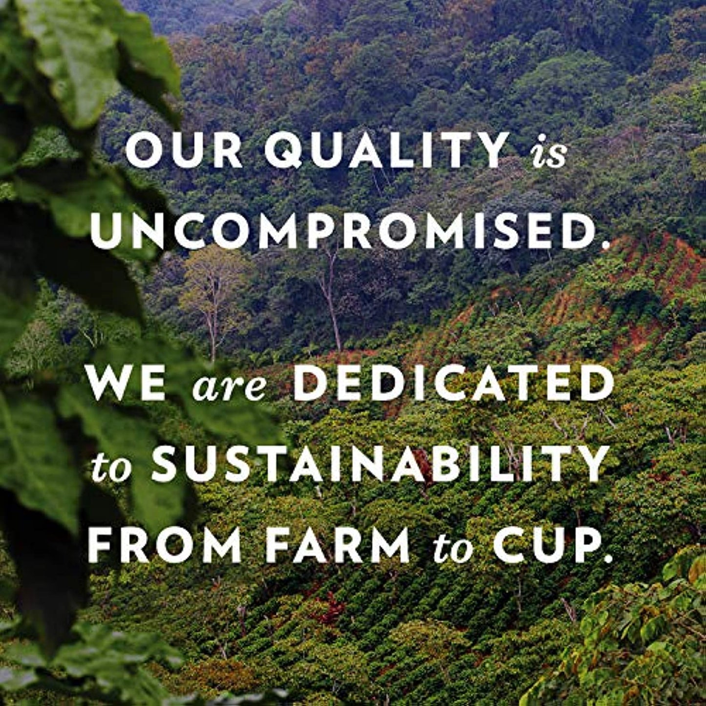 Community Coffee Breakfast Blend Medium Roast Ground 46 oz Bag