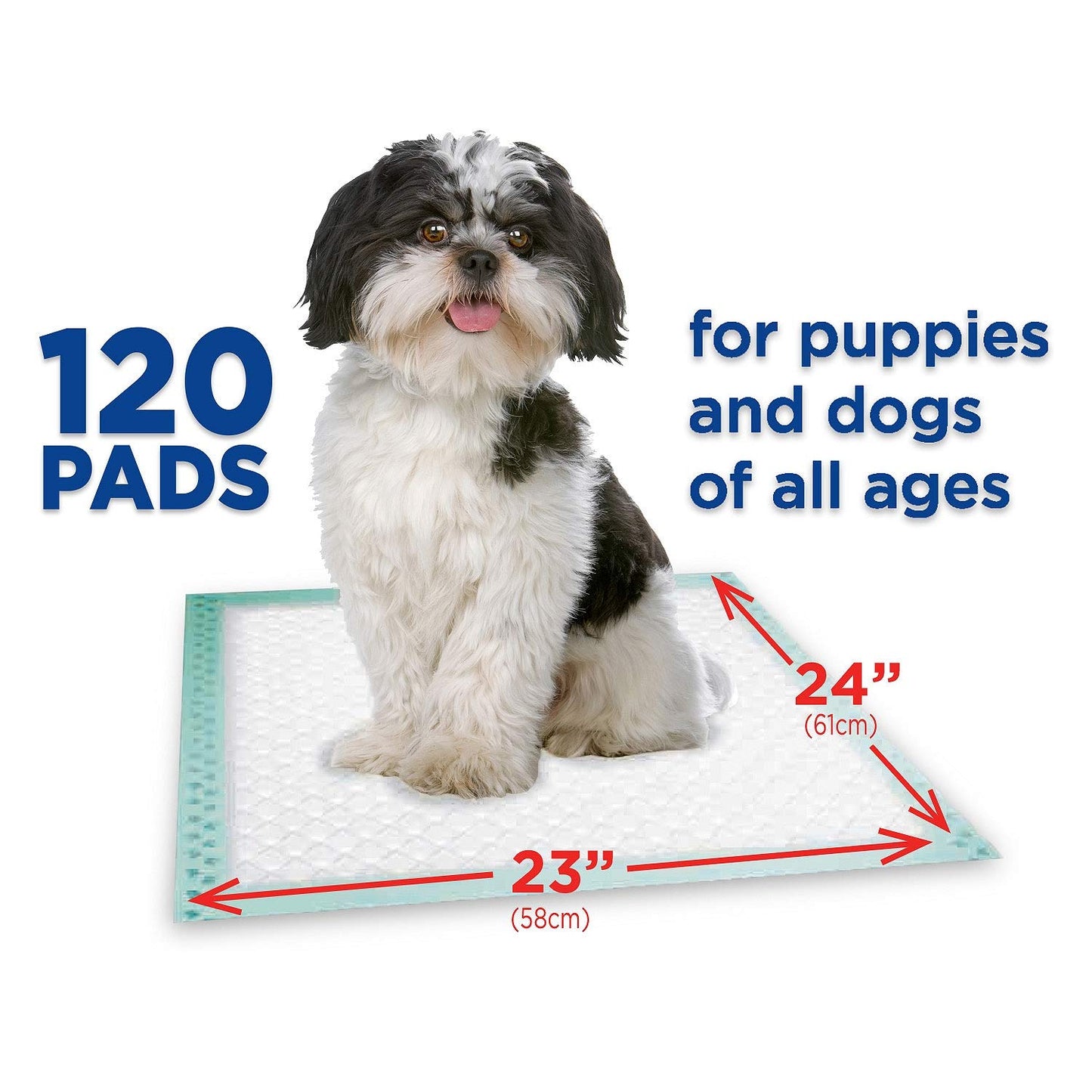 Member's Mark Pet Training Pads, 23" x 24" (120 ct.) (pack of 2)