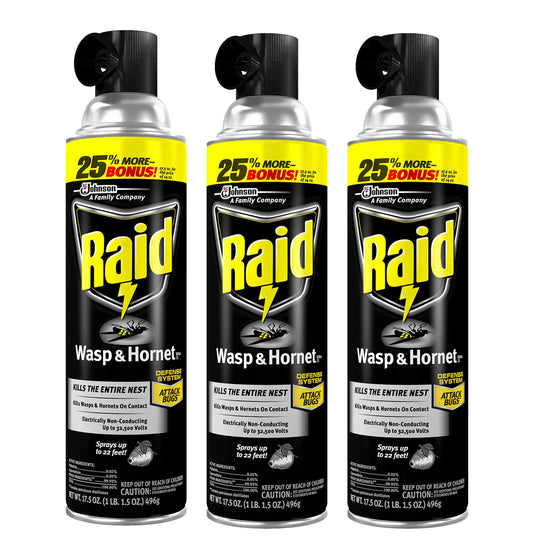 Raid Wasp and Hornet Killer, 17.5 OZ (Pack - 3)