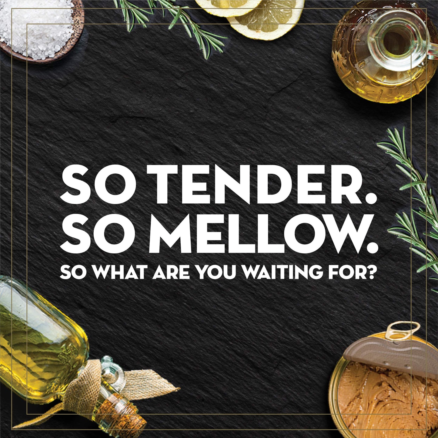 Portofino Solid Yellowfin Tuna In Extra Virgin Olive Oil - 4.5oz Can (Pack of 12)